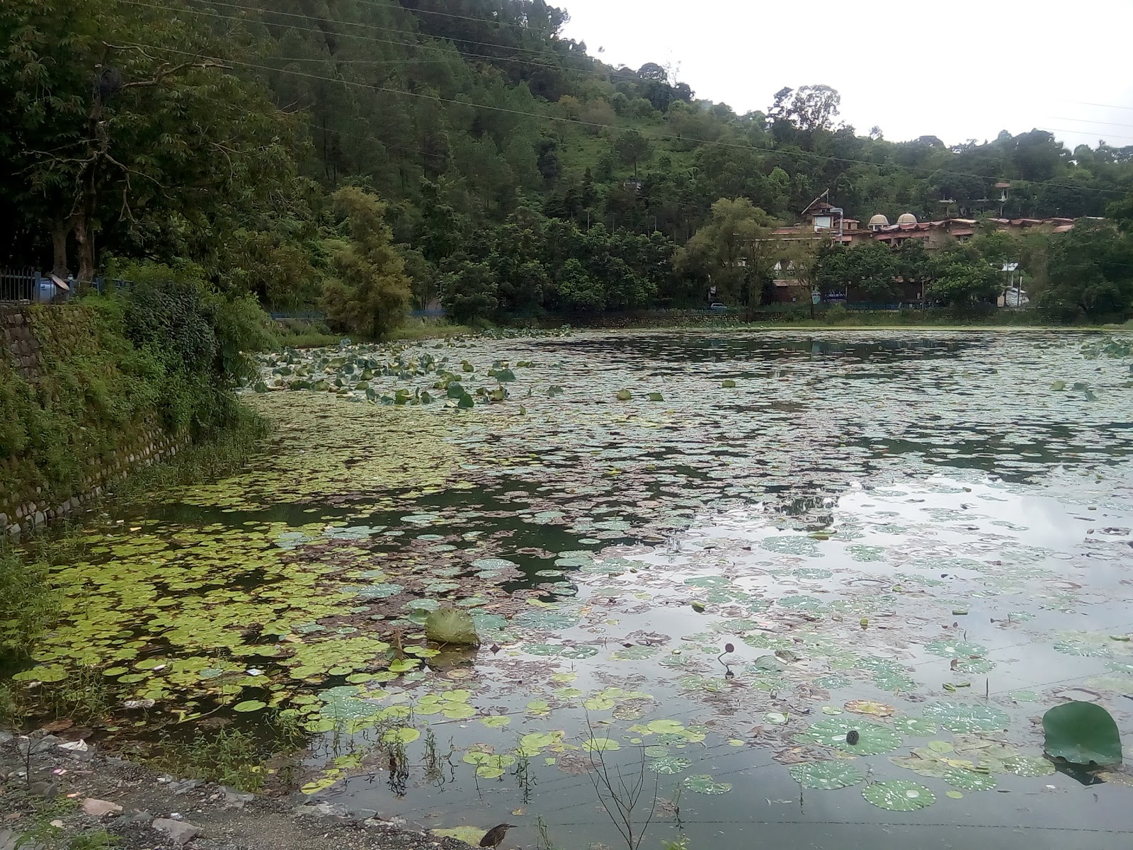 Naukuchiatal Lake