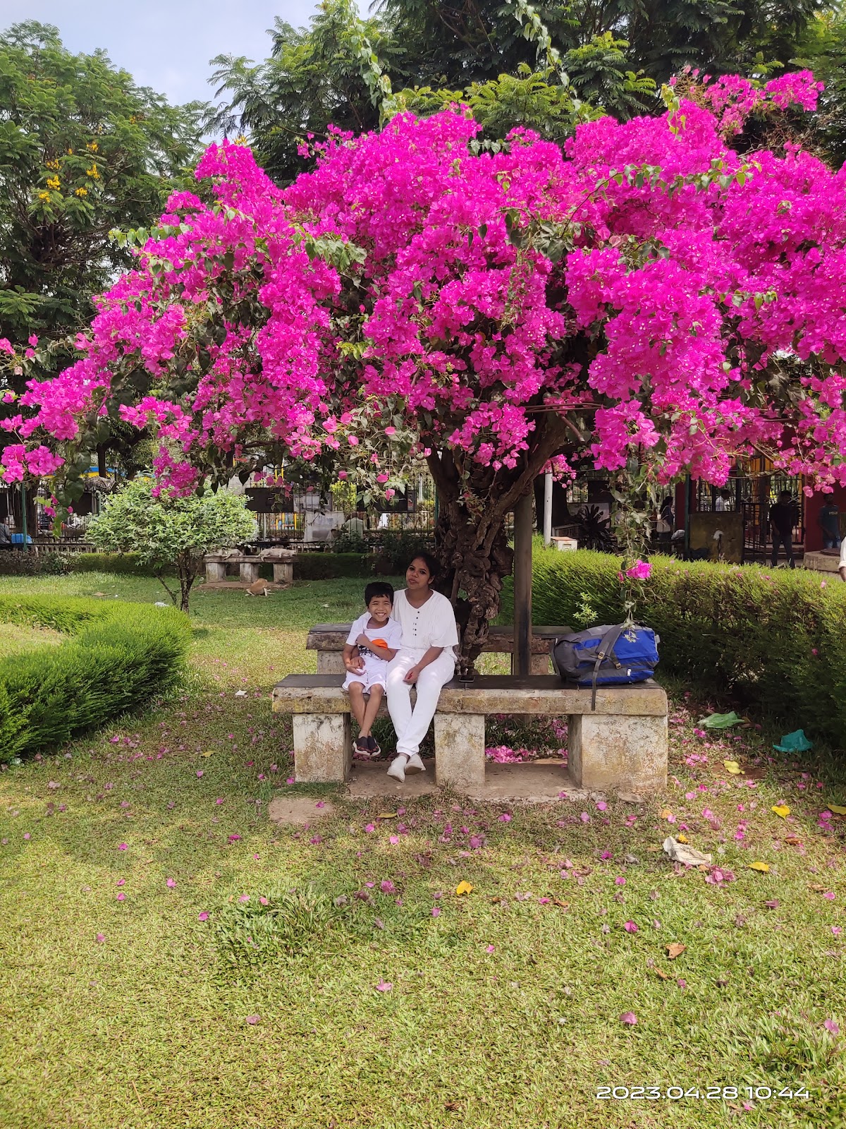 Margao Municipal Garden