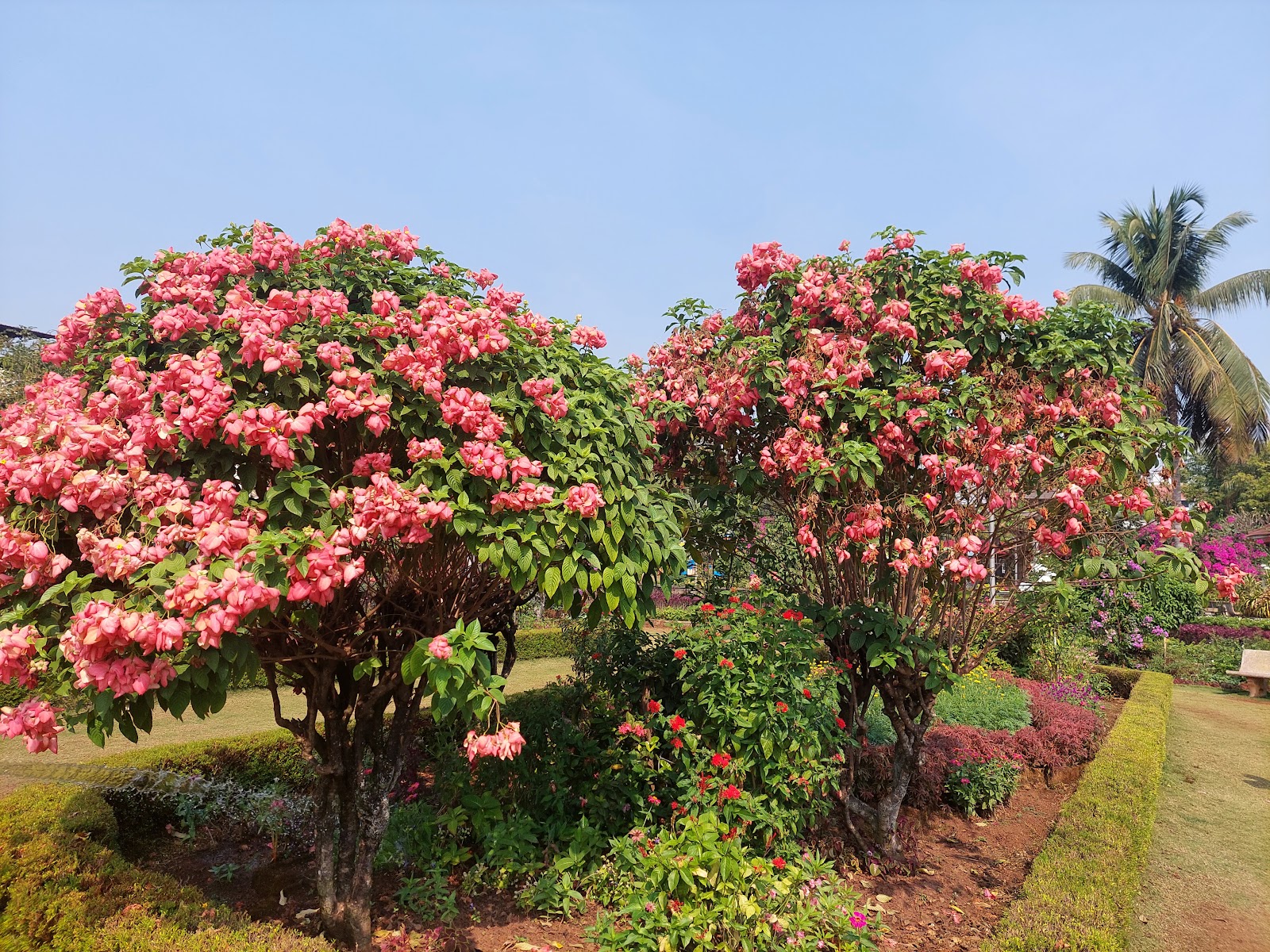Margao Municipal Garden