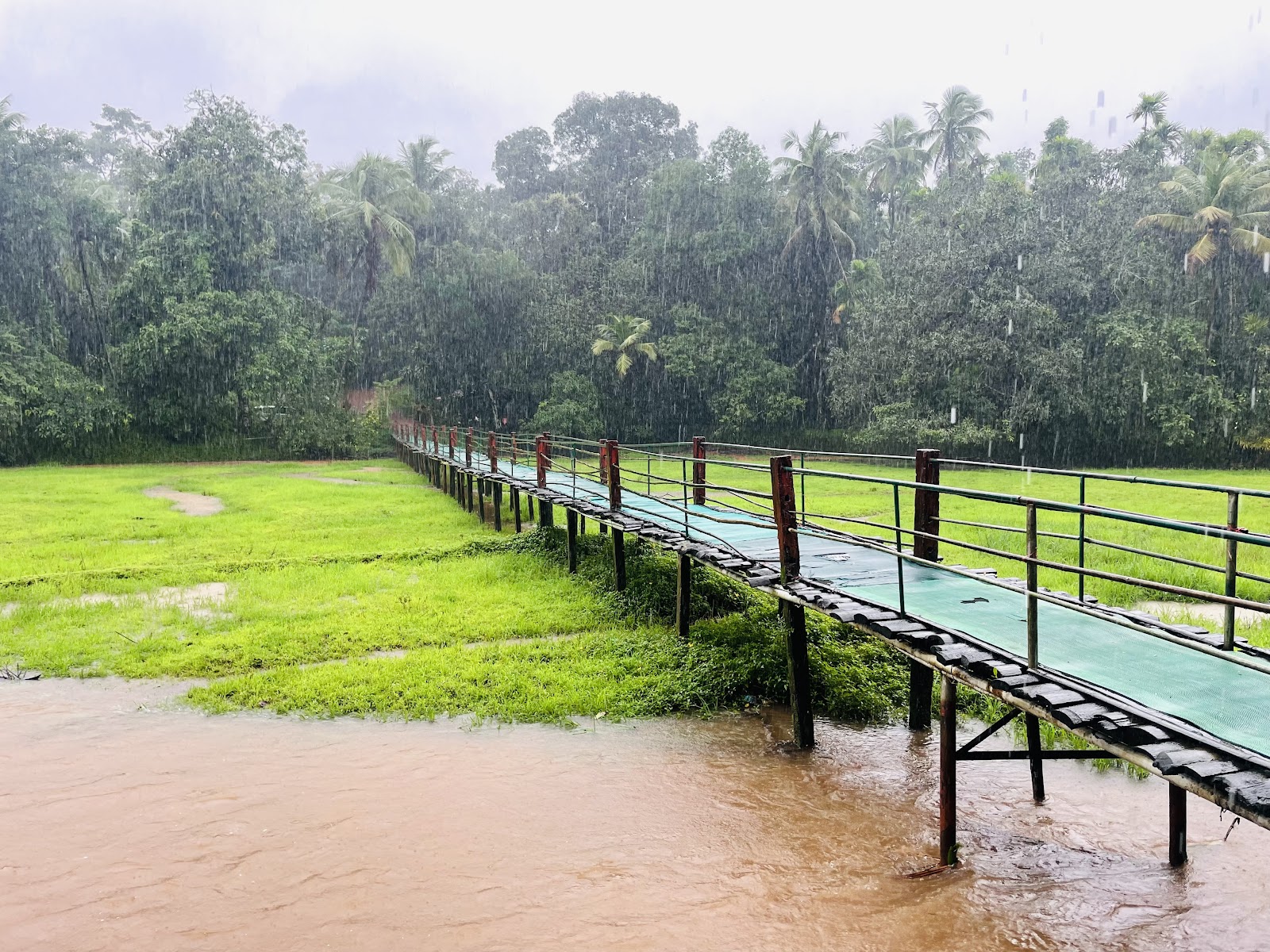 Local Spice Plantation Visit