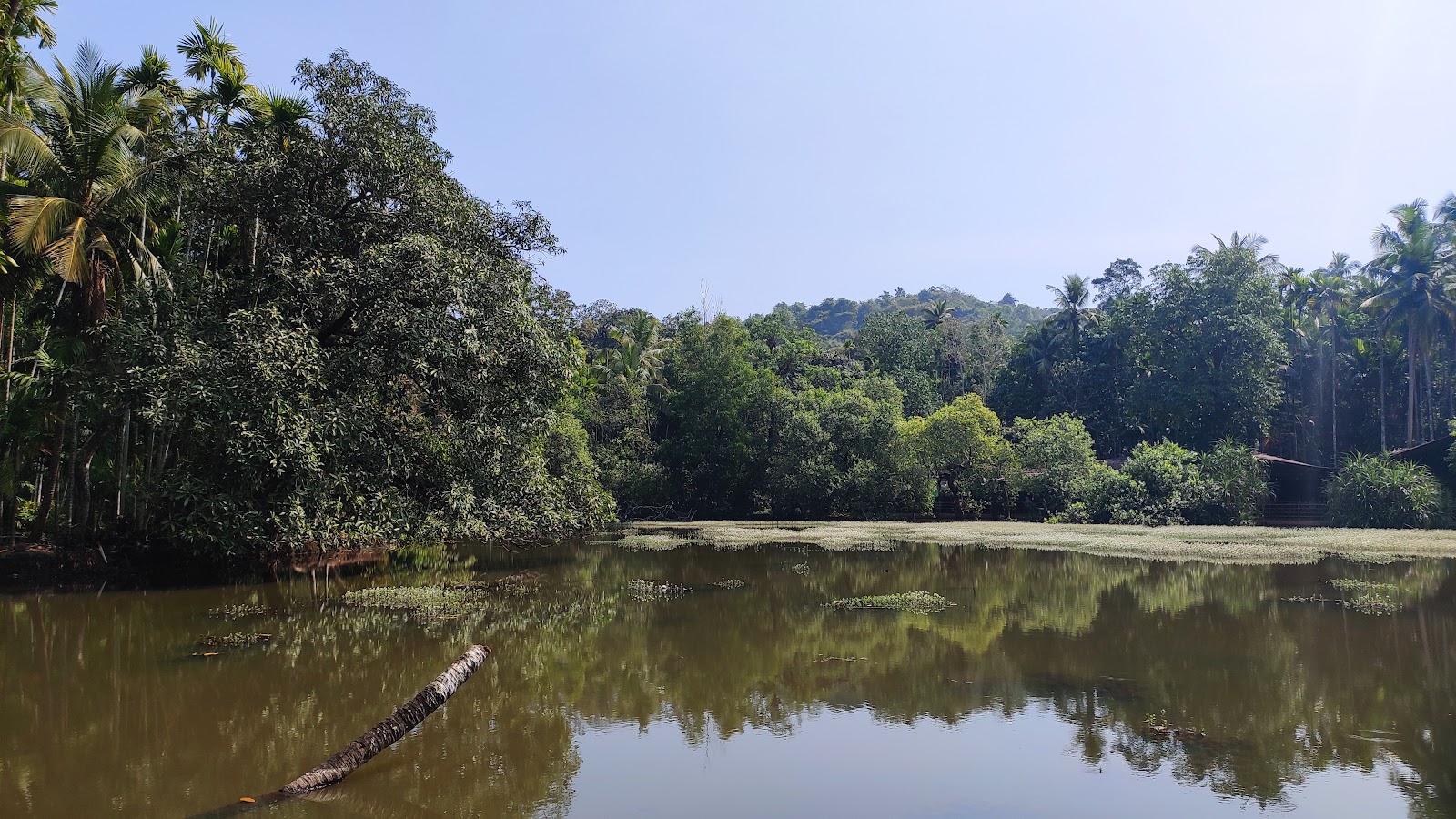 Local Spice Plantation Visit