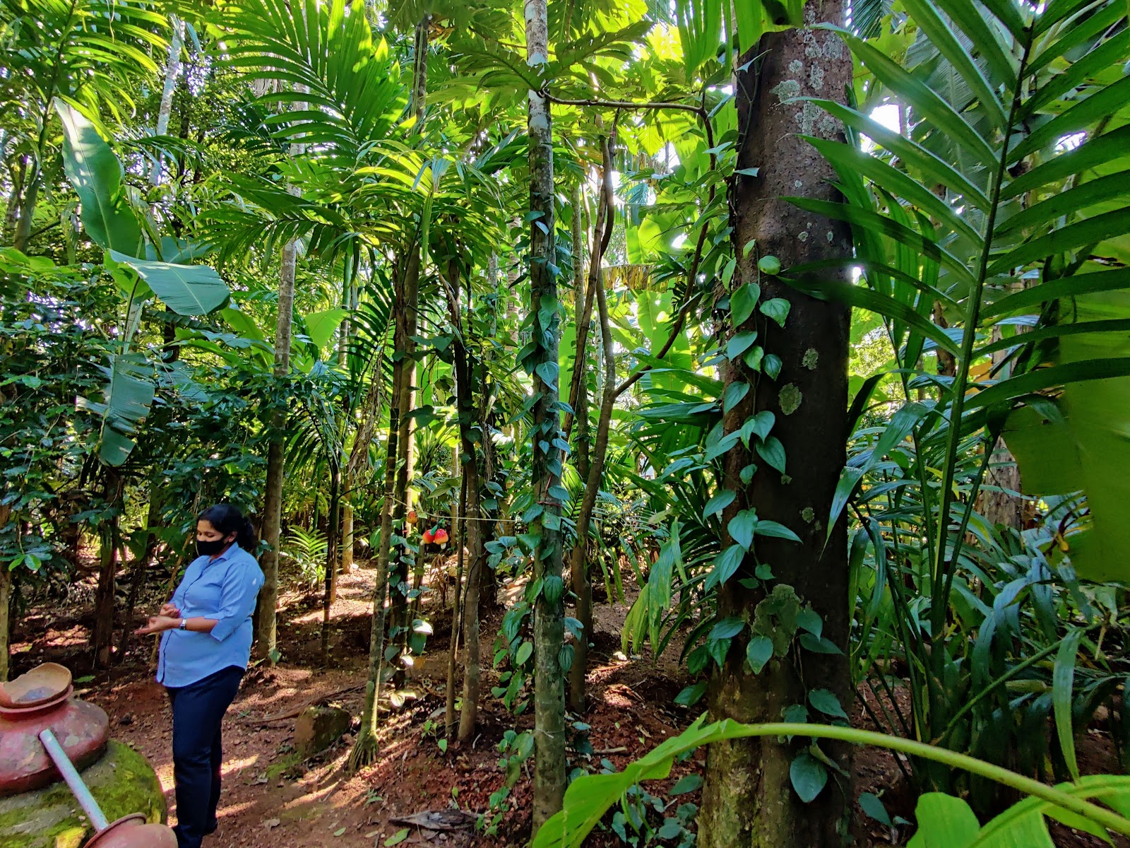 Local Spice Plantation Visit