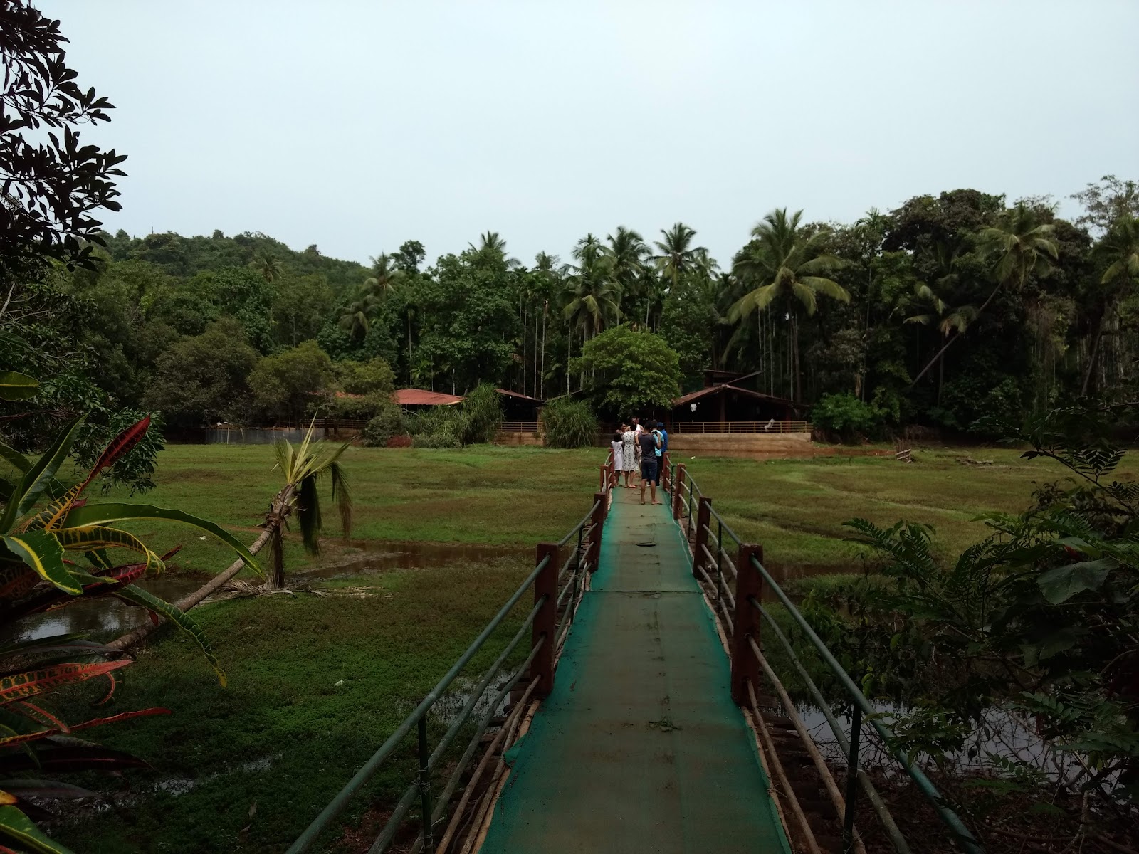 Local Spice Plantation Visit