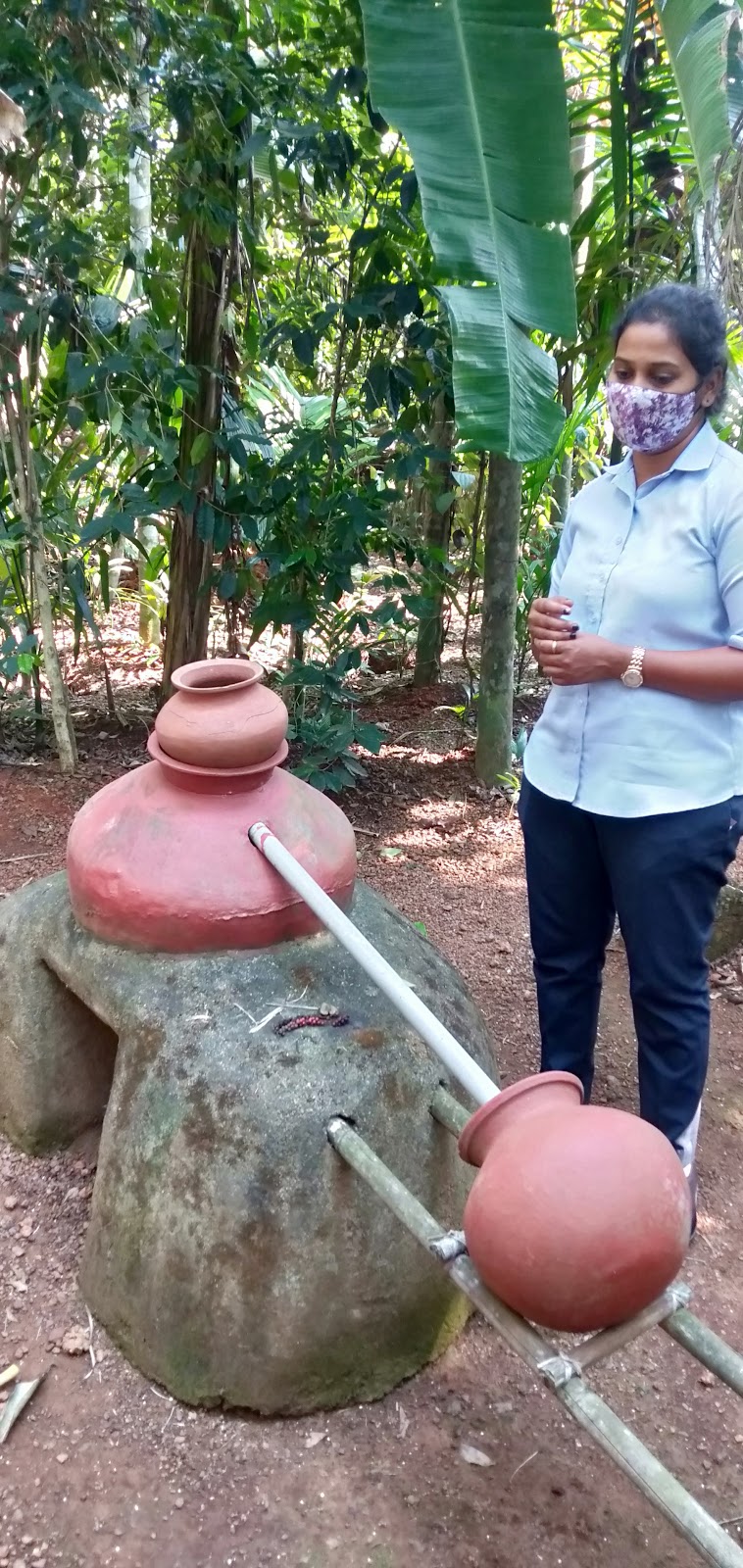 Local Spice Plantation Visit