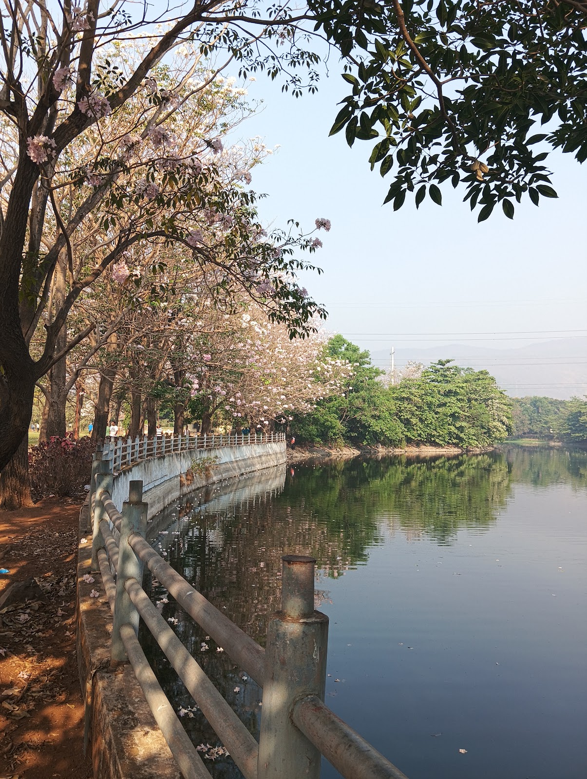 Central Park Kharghar