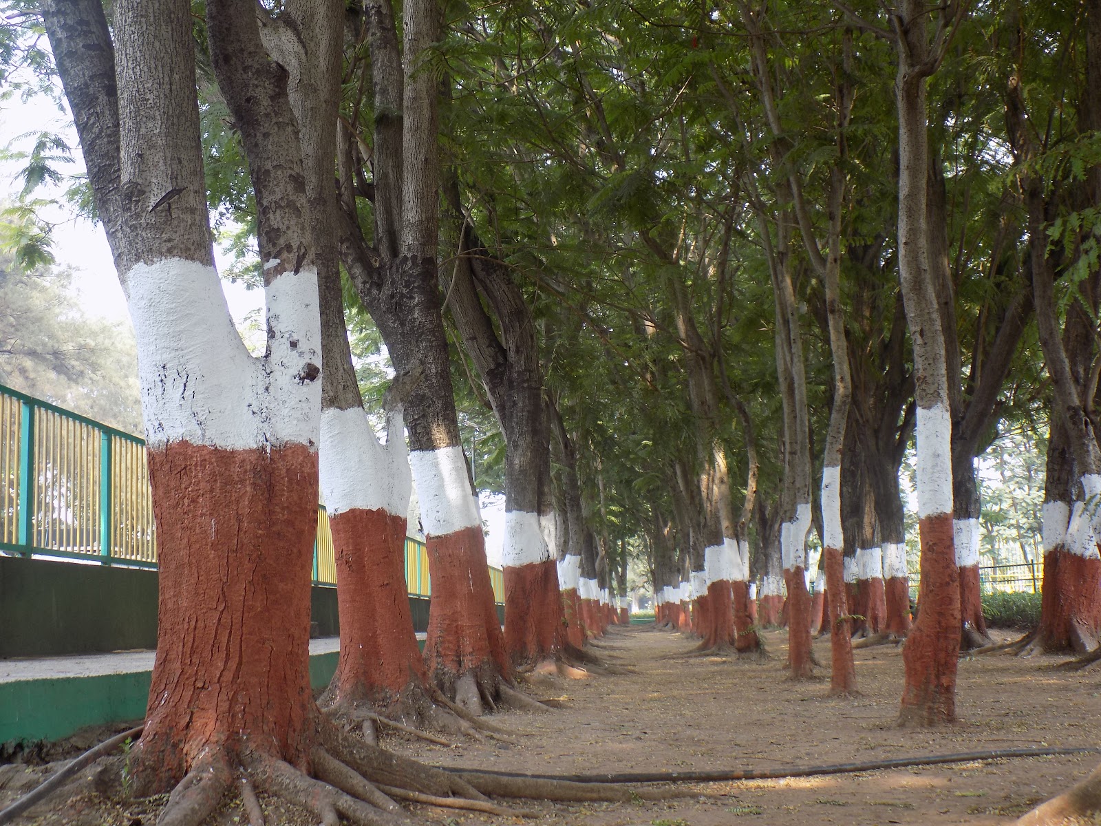 Sagar Vihar Vashi Promenade