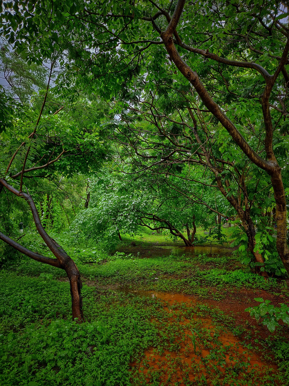 Sagar Vihar Vashi Promenade