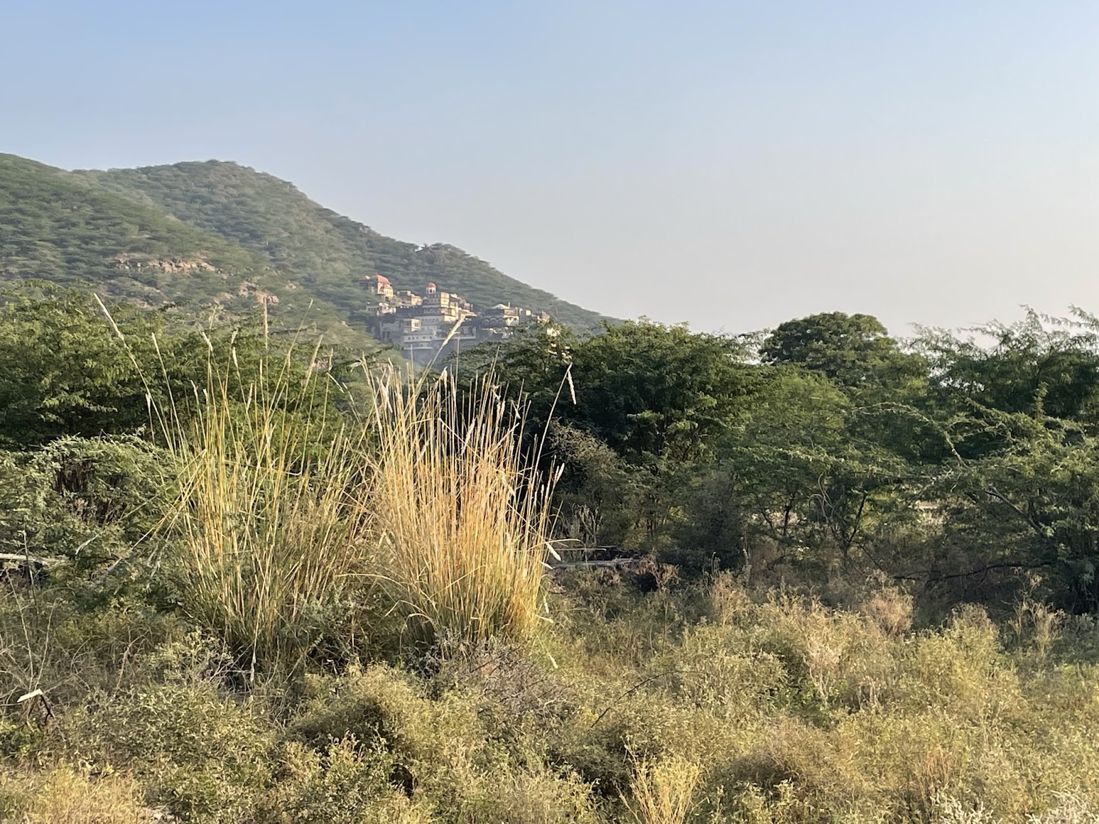 Ancient Baori Stepwell