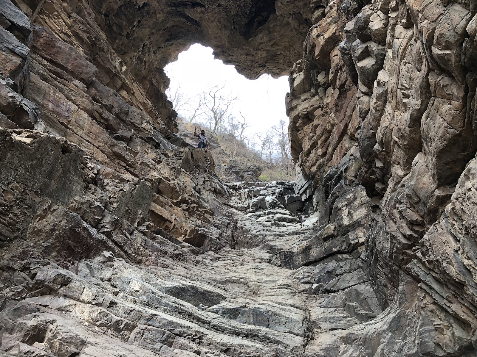 Sariska National Park