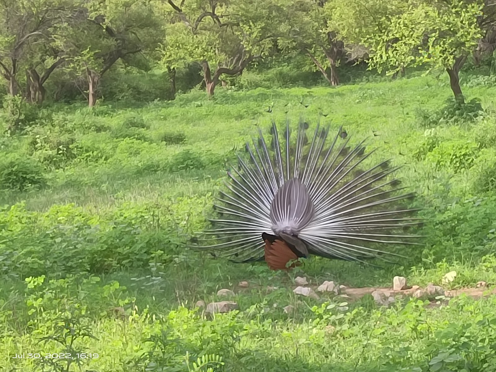 Sariska National Park