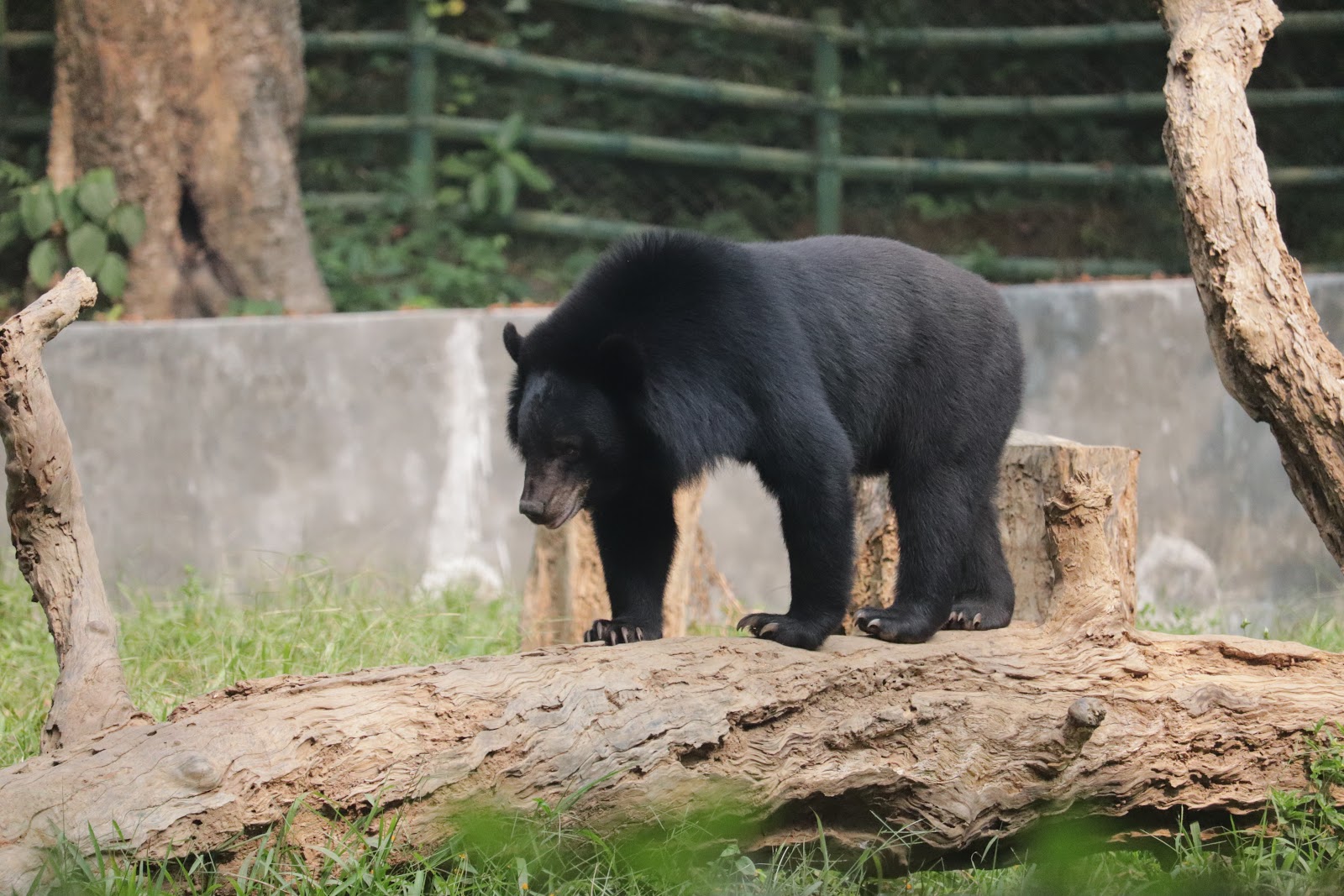 Sepahijala Wildlife Sanctuary