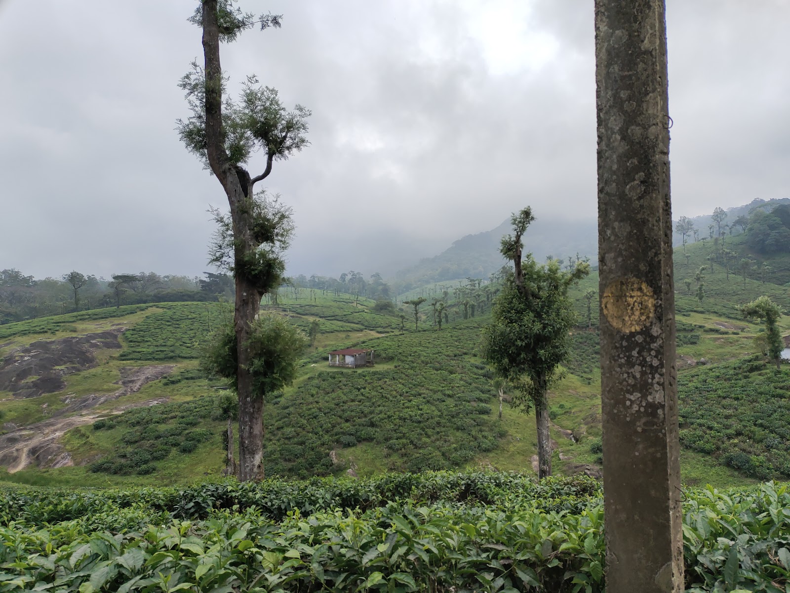 Kesavan Para Viewpoint