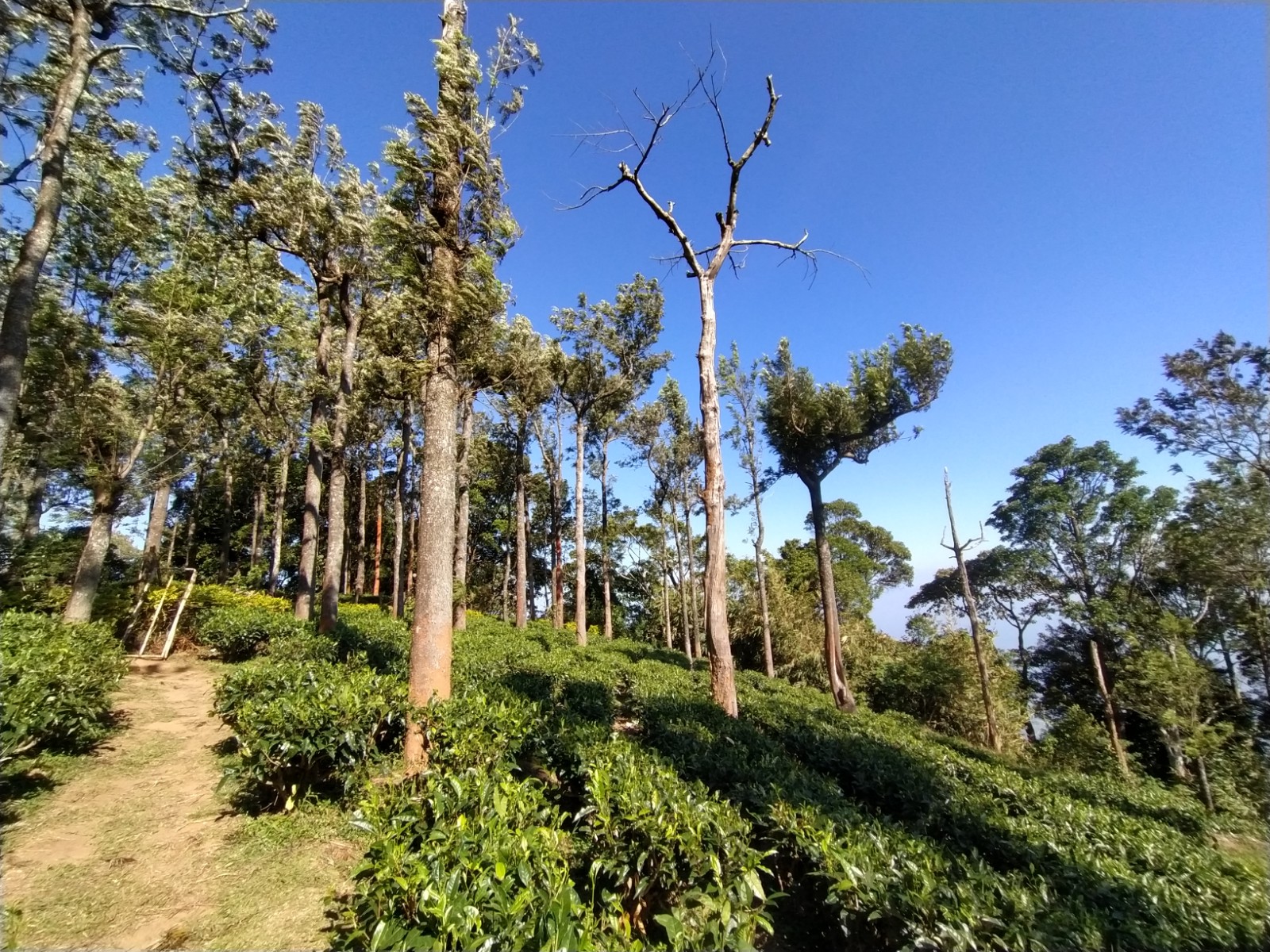 Seethargundu Viewpoint