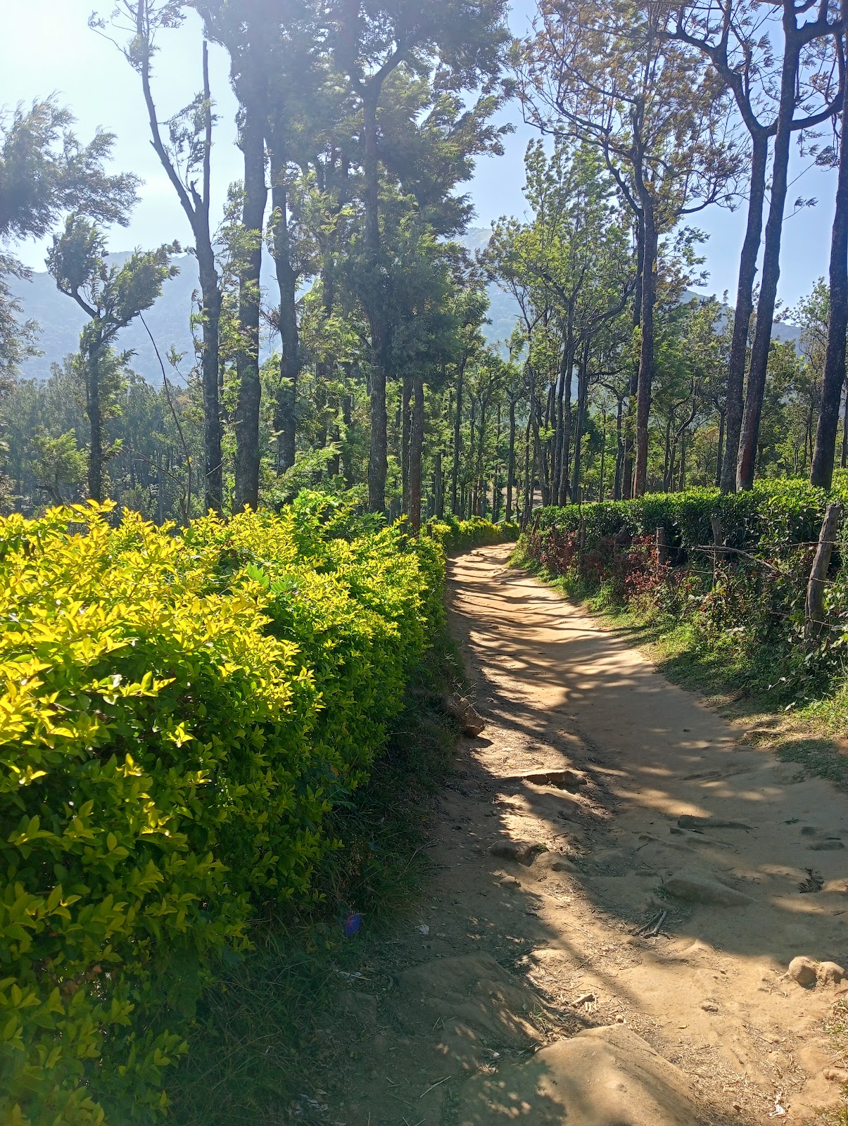 Seethargundu Viewpoint