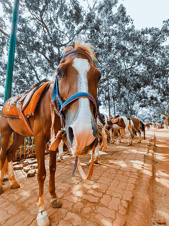 Matheran Hill Station