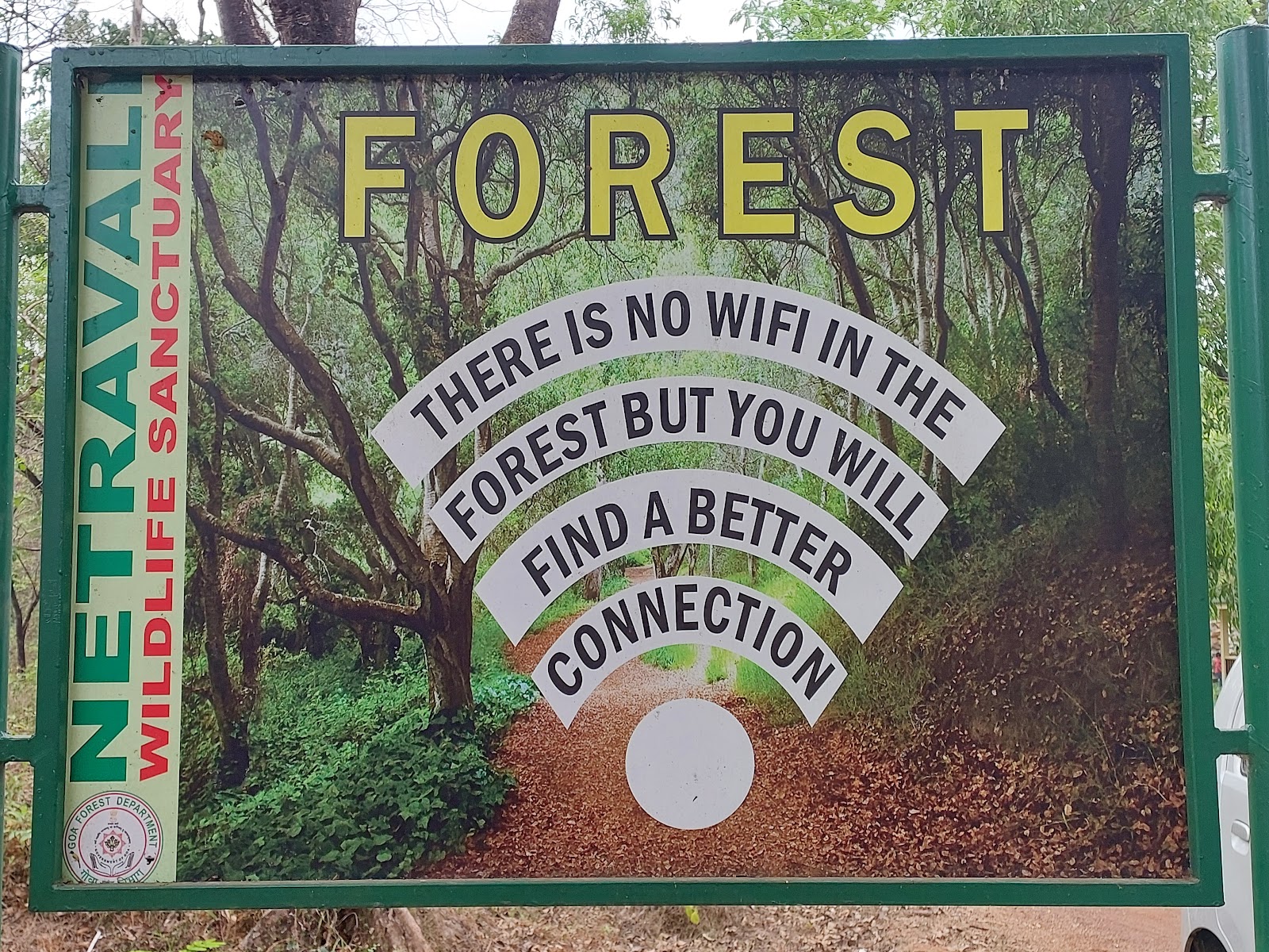 Forest Photography Spots