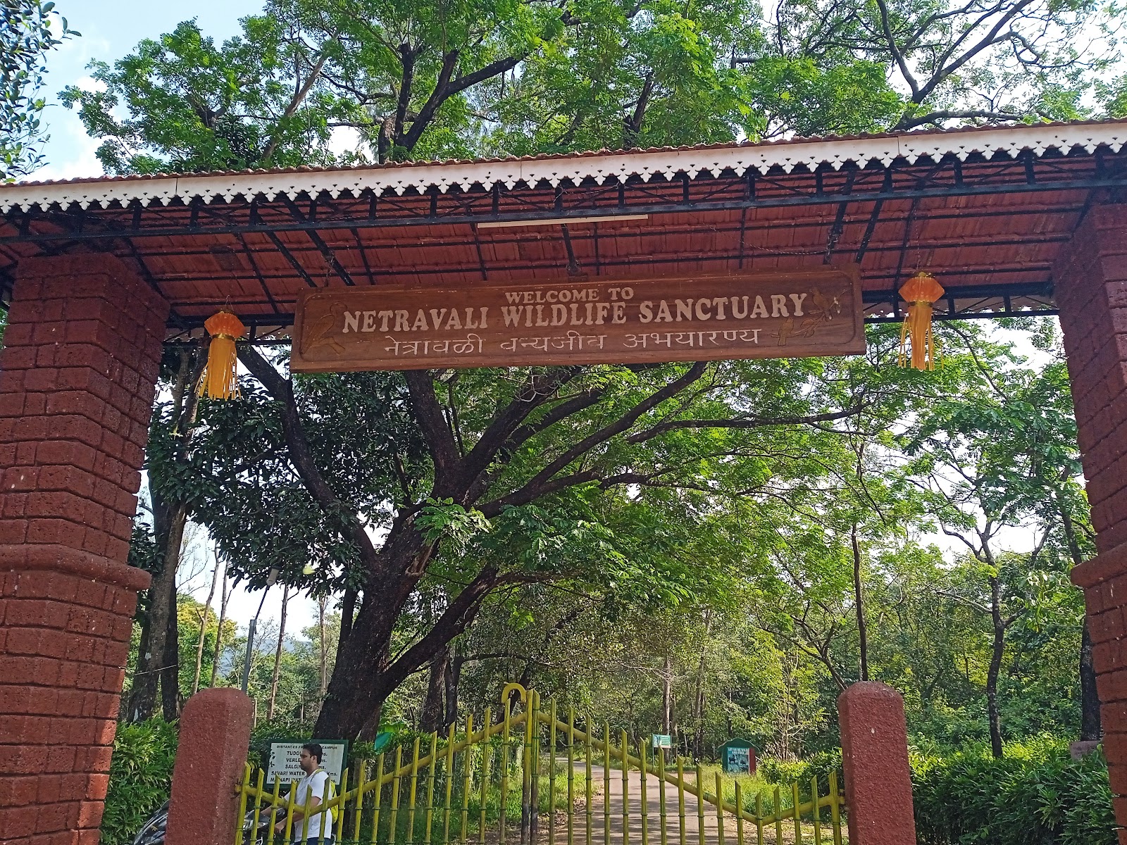 Forest Photography Spots