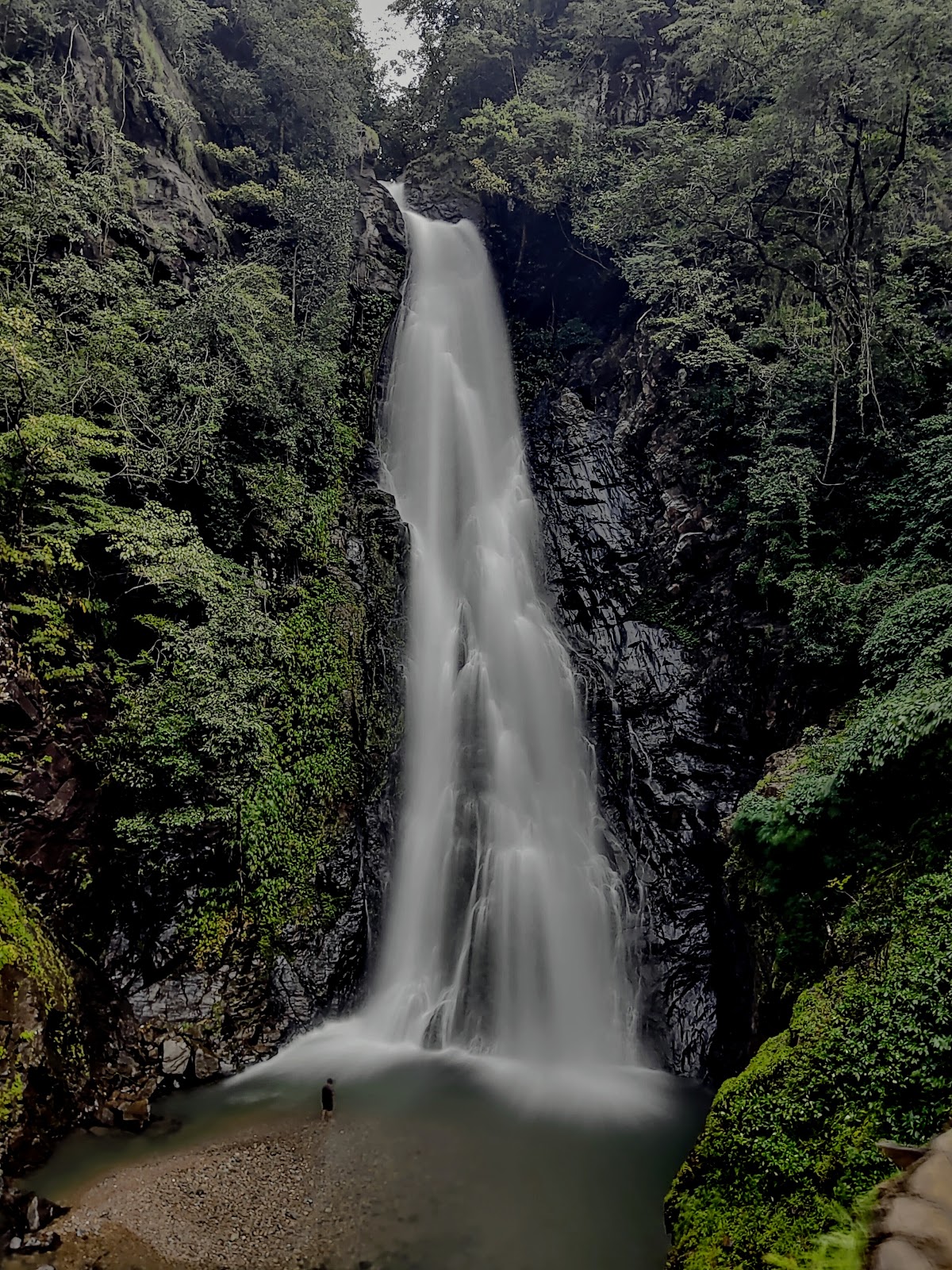 Forest Photography Spots