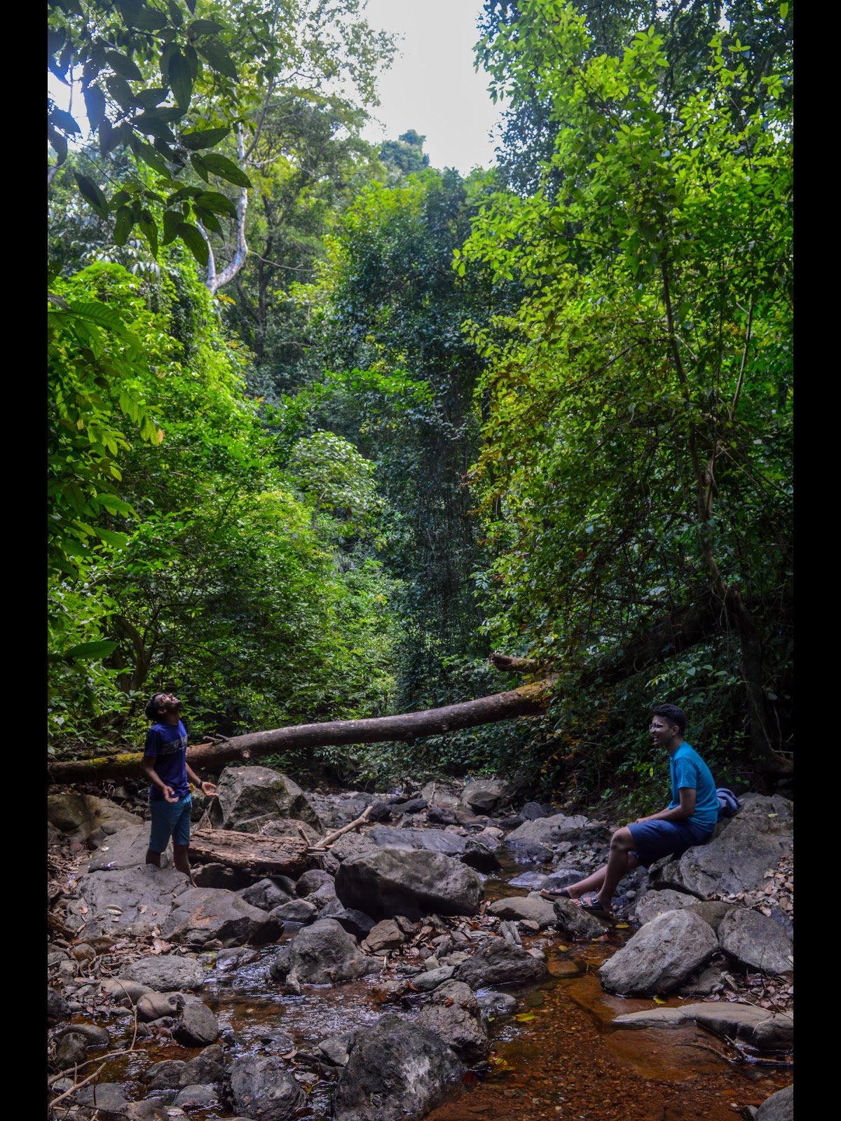 Local Tribal Cultural Visit