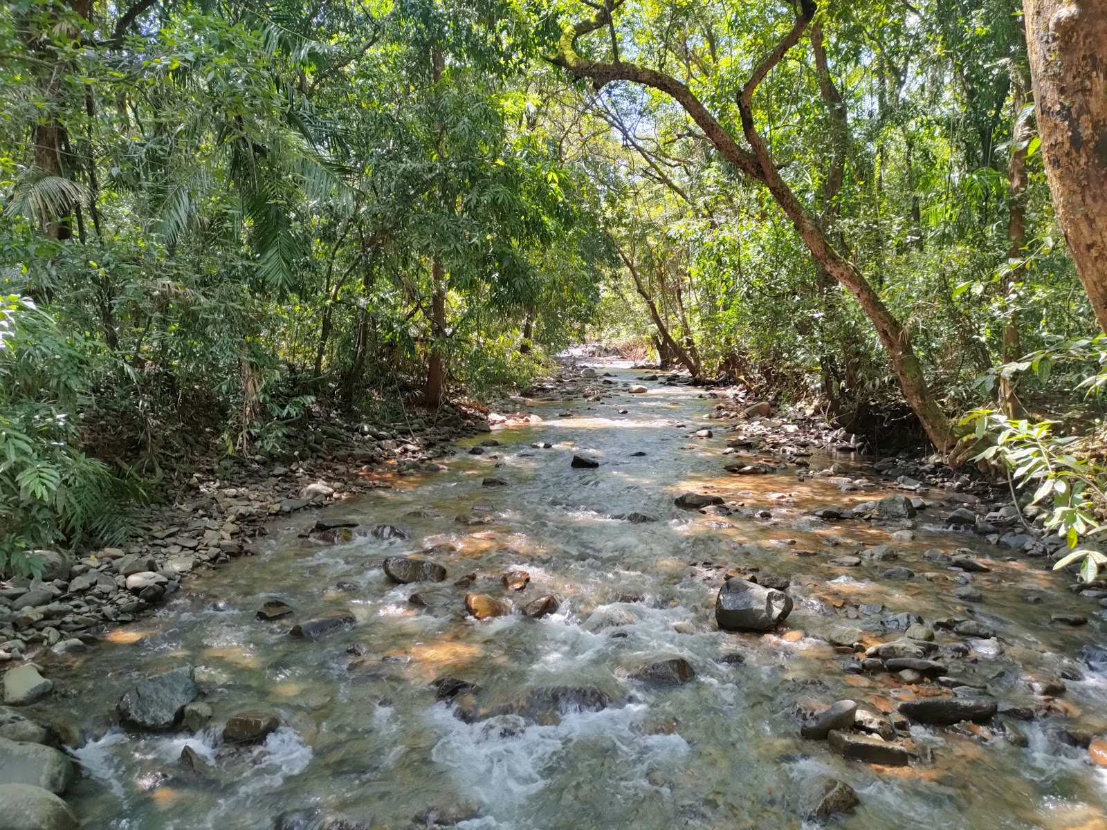 Mollem National Park