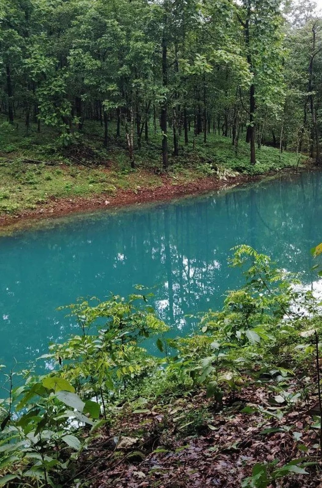 Mollem National Park