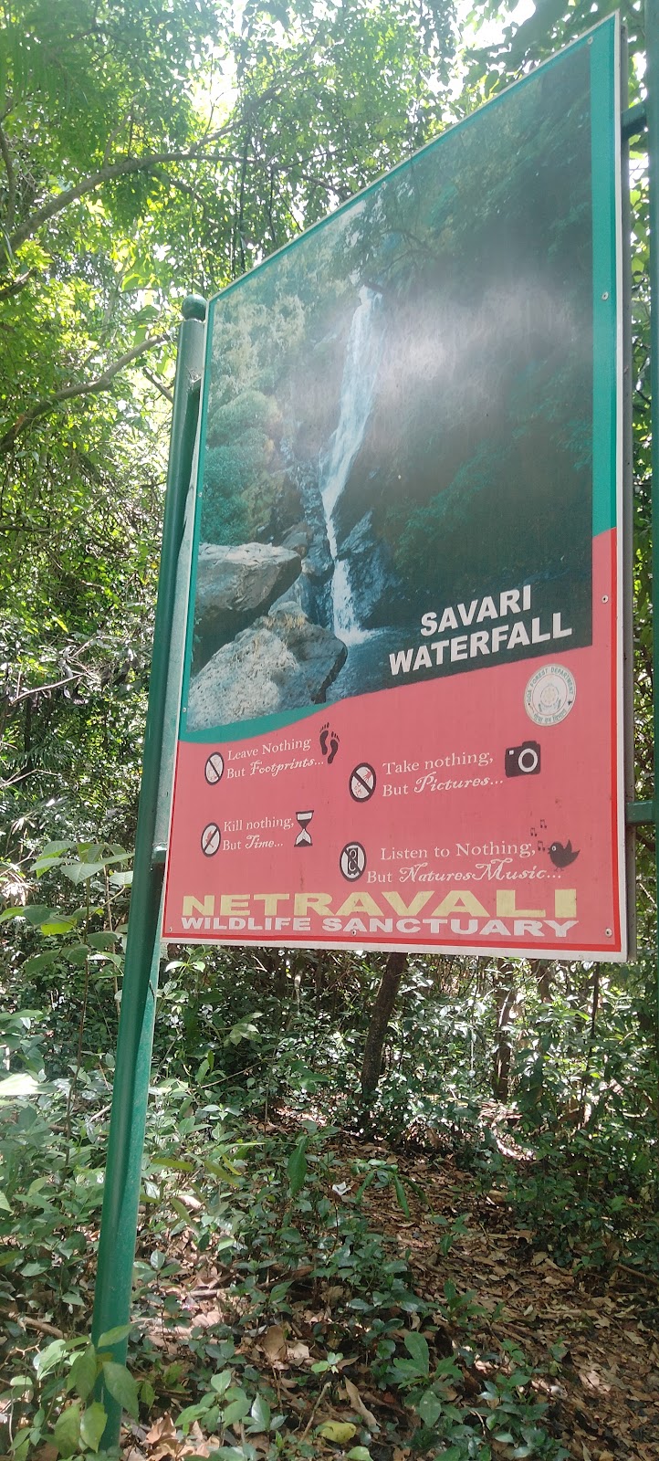 Savari Waterfall
