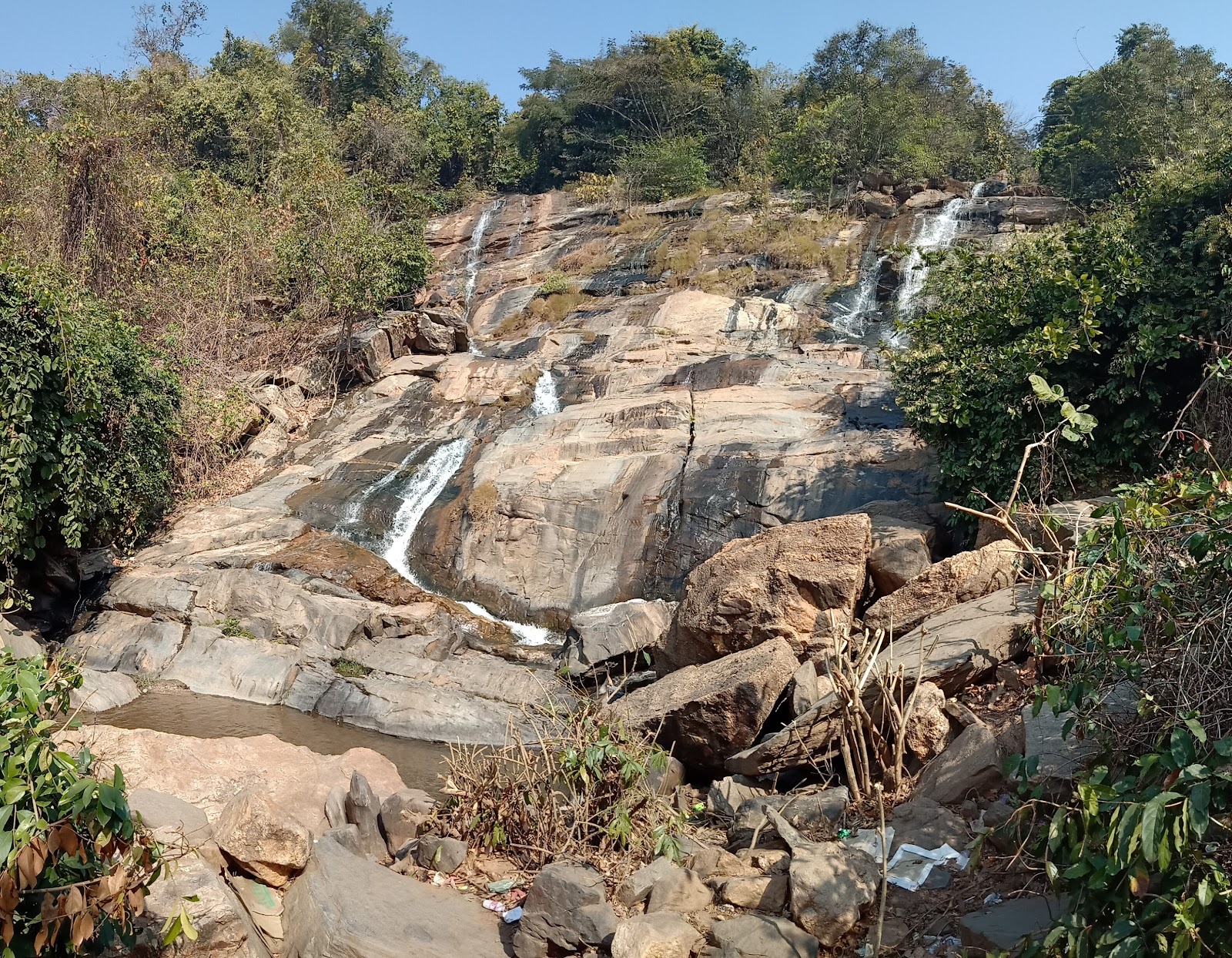 Ajodhya Hill and Forest Reserve Area