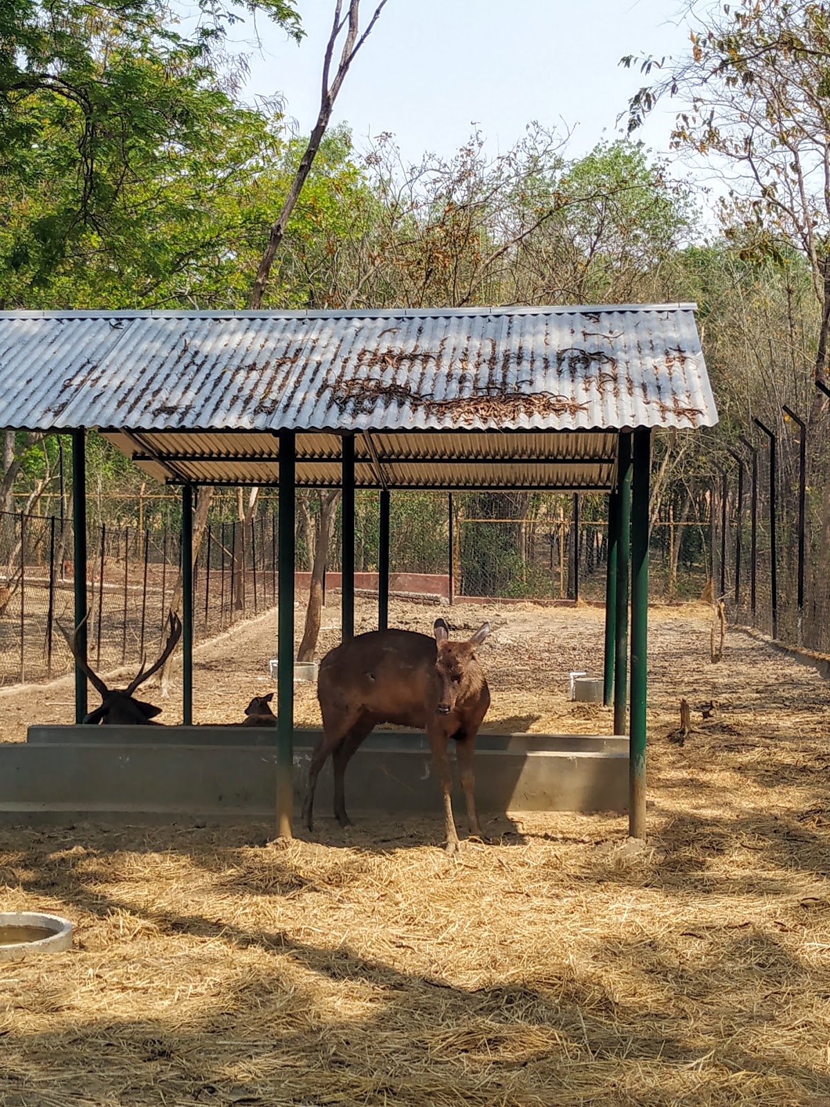 Purulia Wildlife Sanctuary