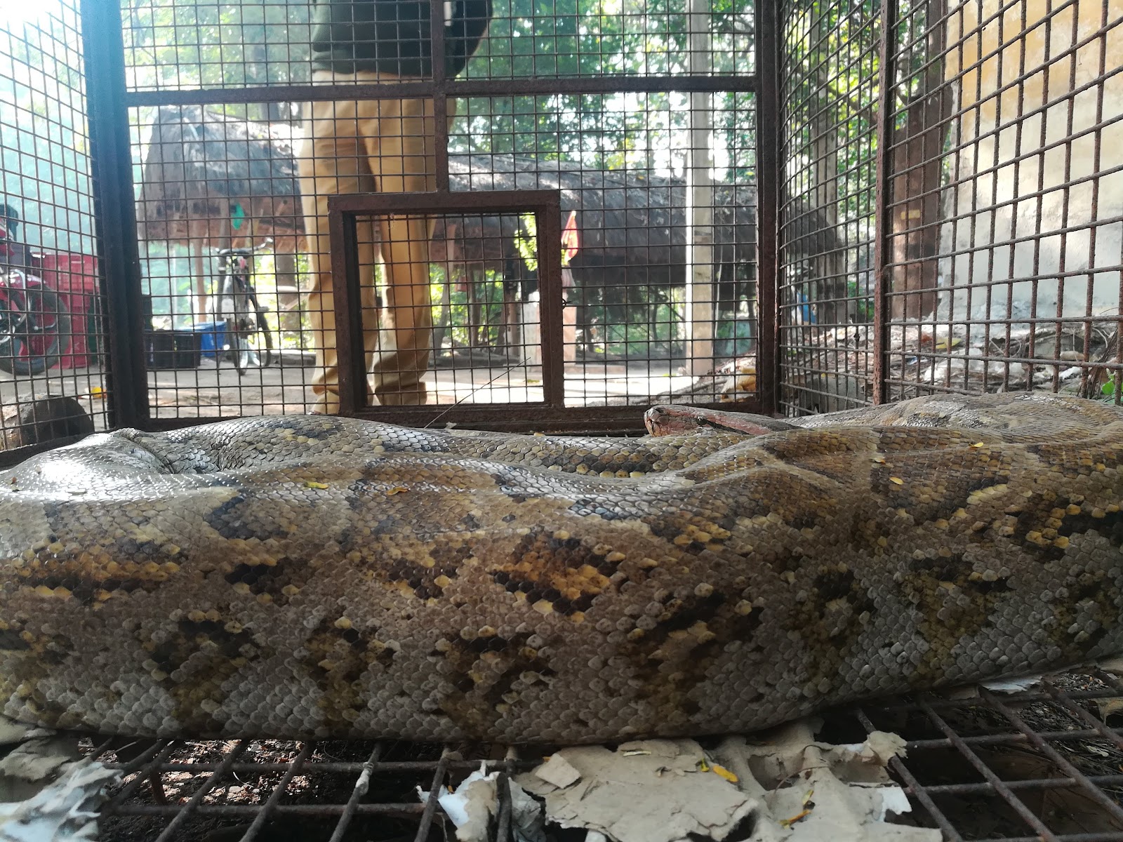 Purulia Wildlife Sanctuary