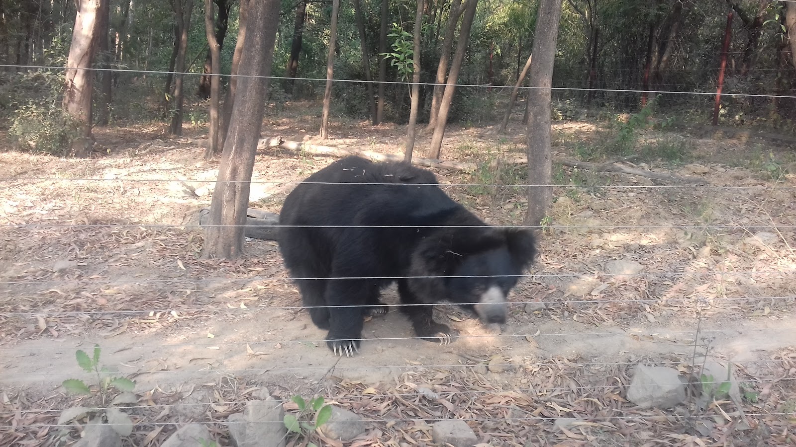 Purulia Wildlife Sanctuary