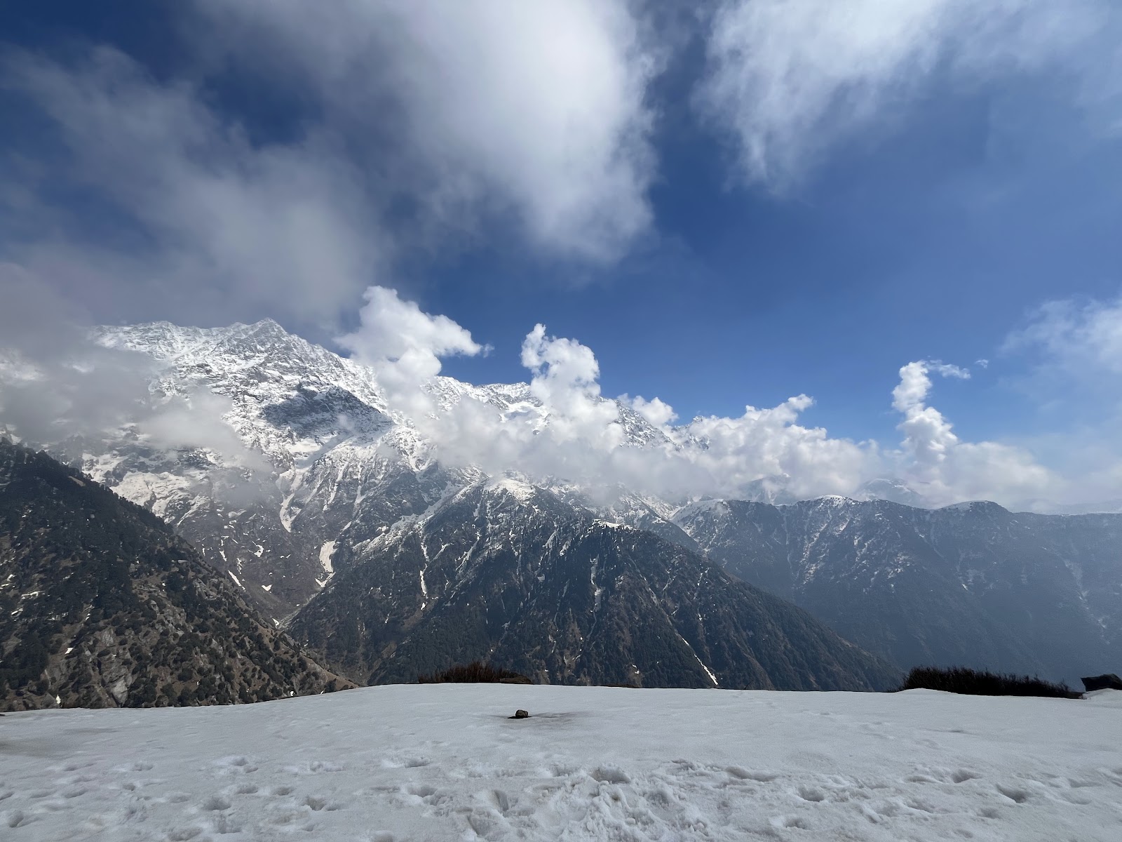 Triund Trek
