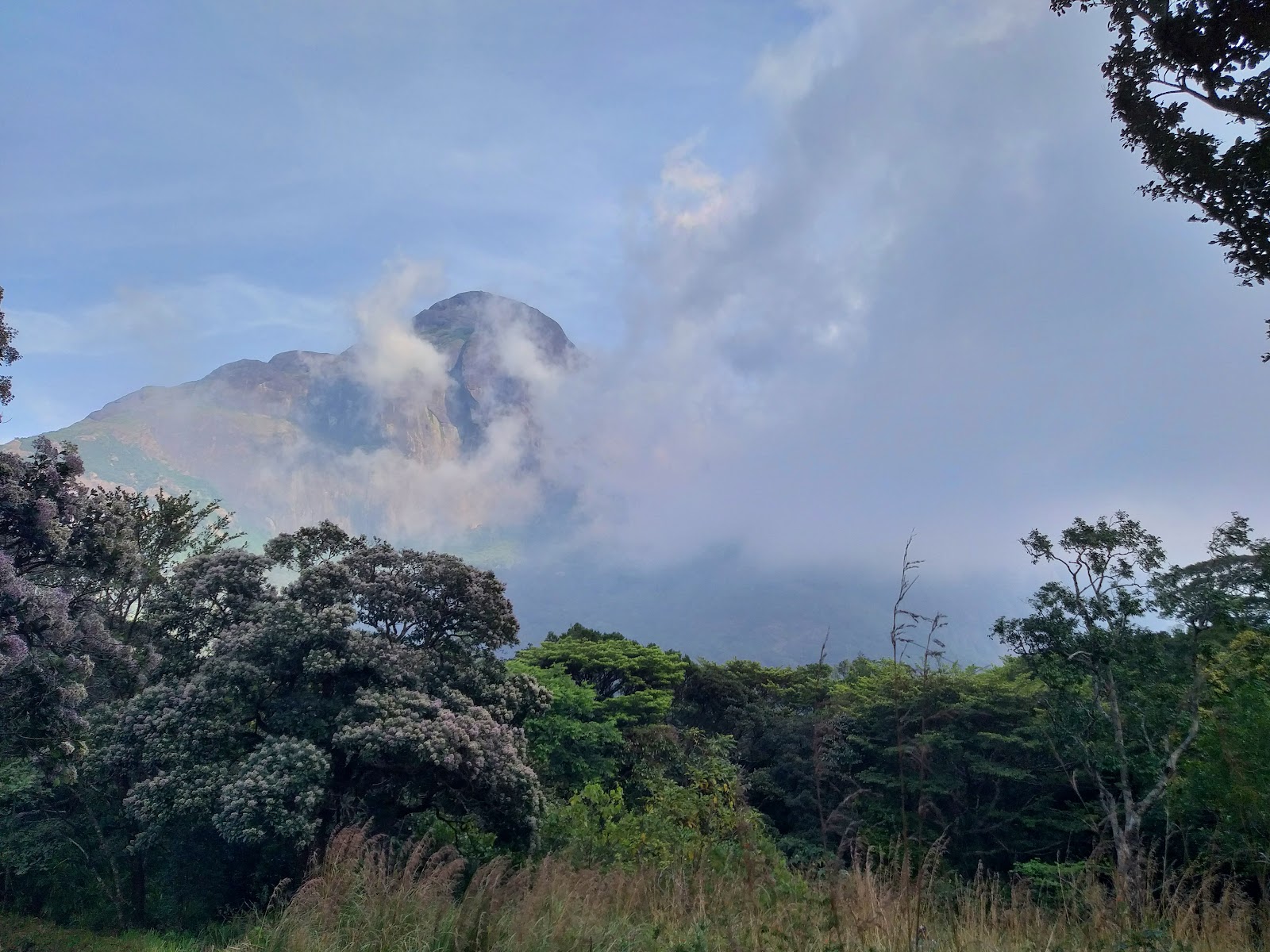 Agasthyakoodam Basecamp Bonacaud