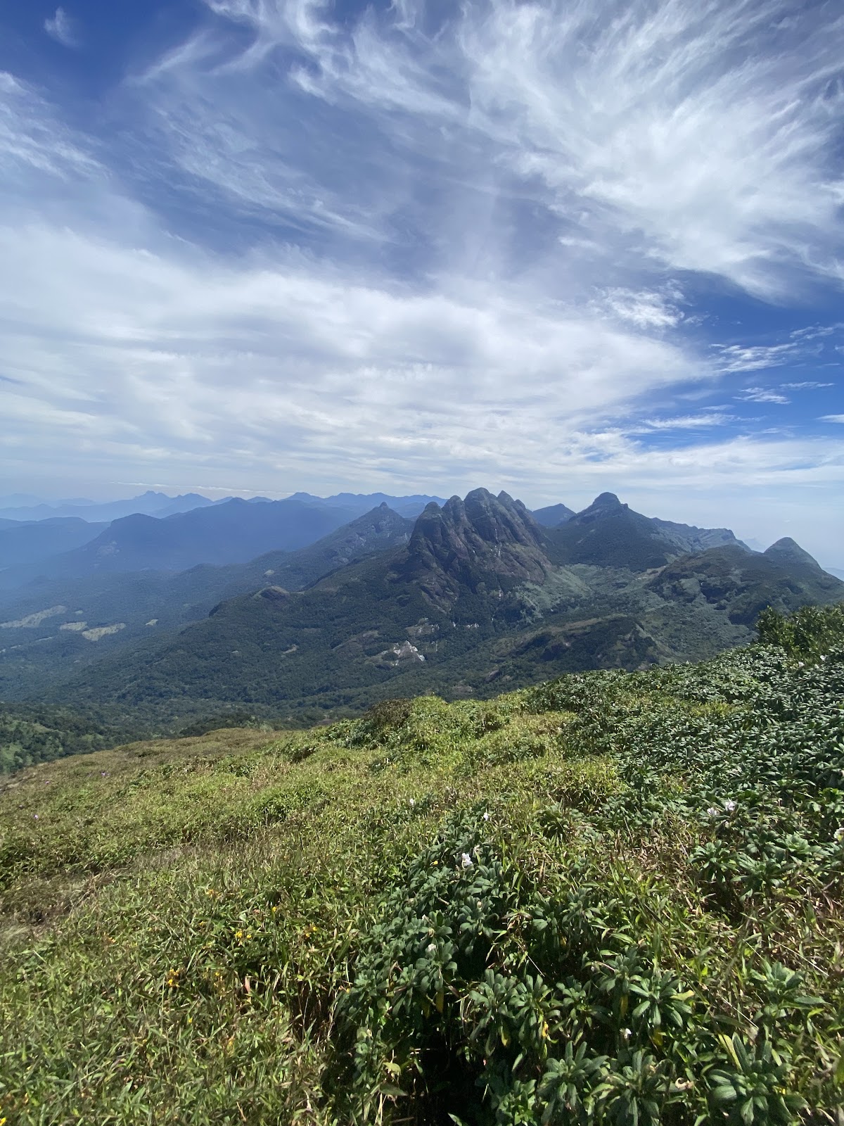 Agasthyakoodam Basecamp Bonacaud