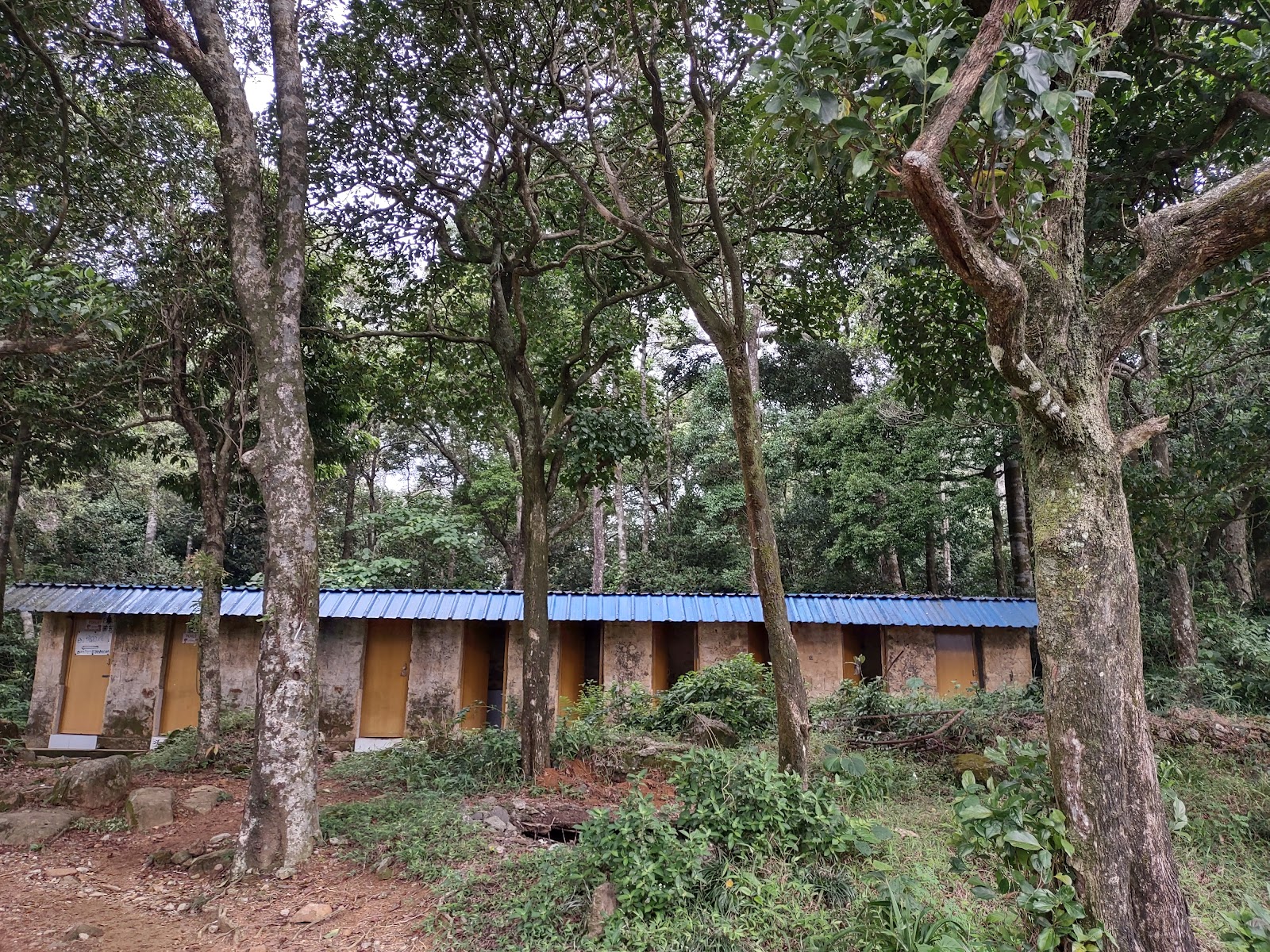 Agasthyakoodam Basecamp Bonacaud