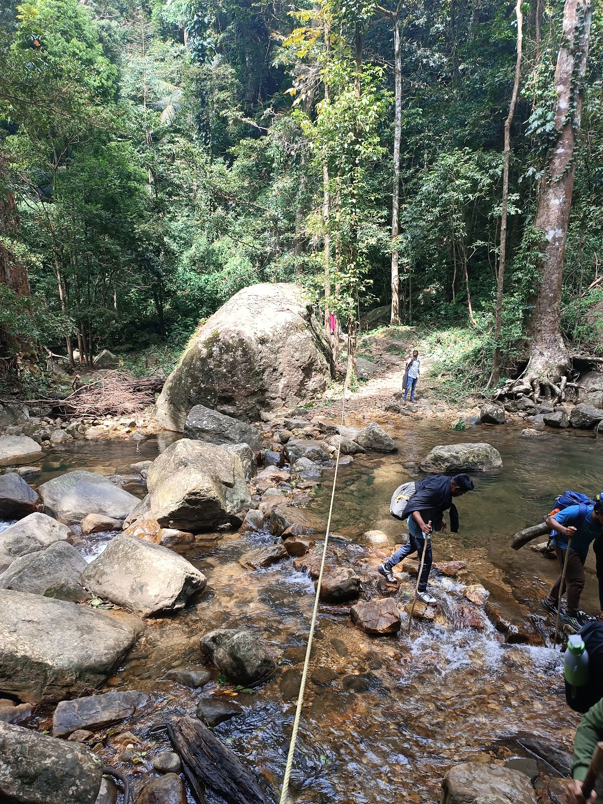 Agasthyakoodam Basecamp Bonacaud