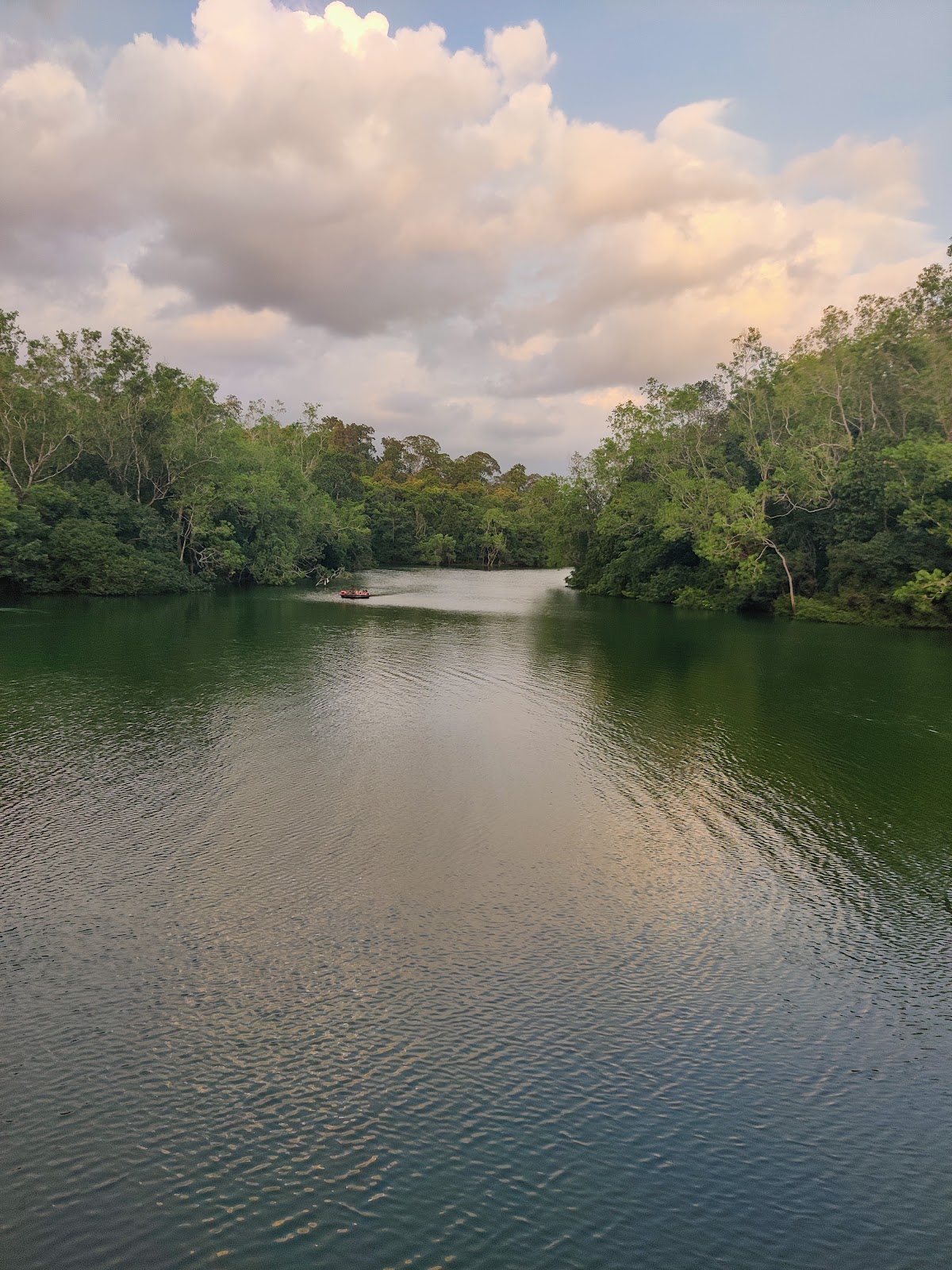 Neyyar Elephant Rehabilitation Centre