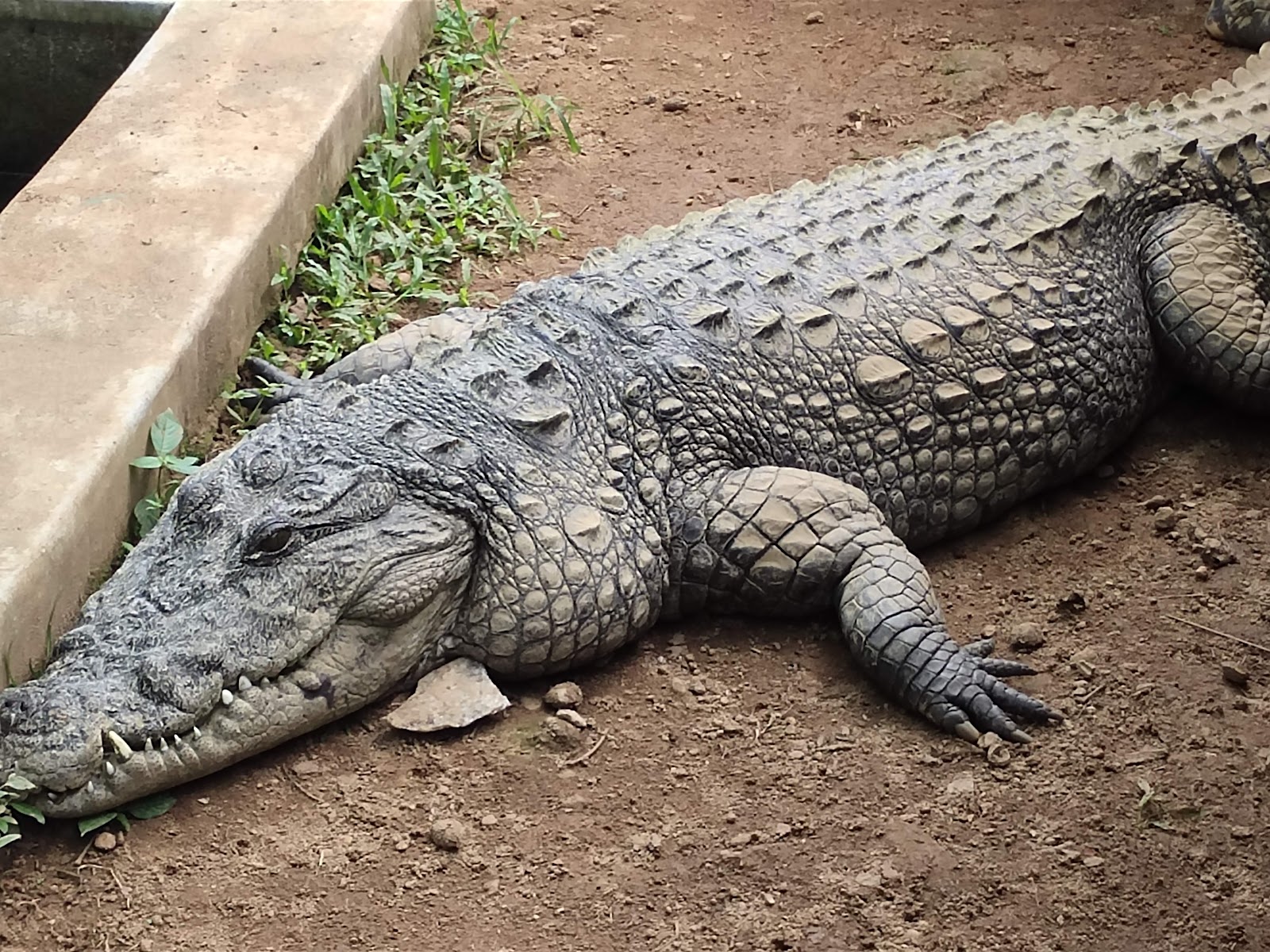 Neyyar Wildlife Sanctuary