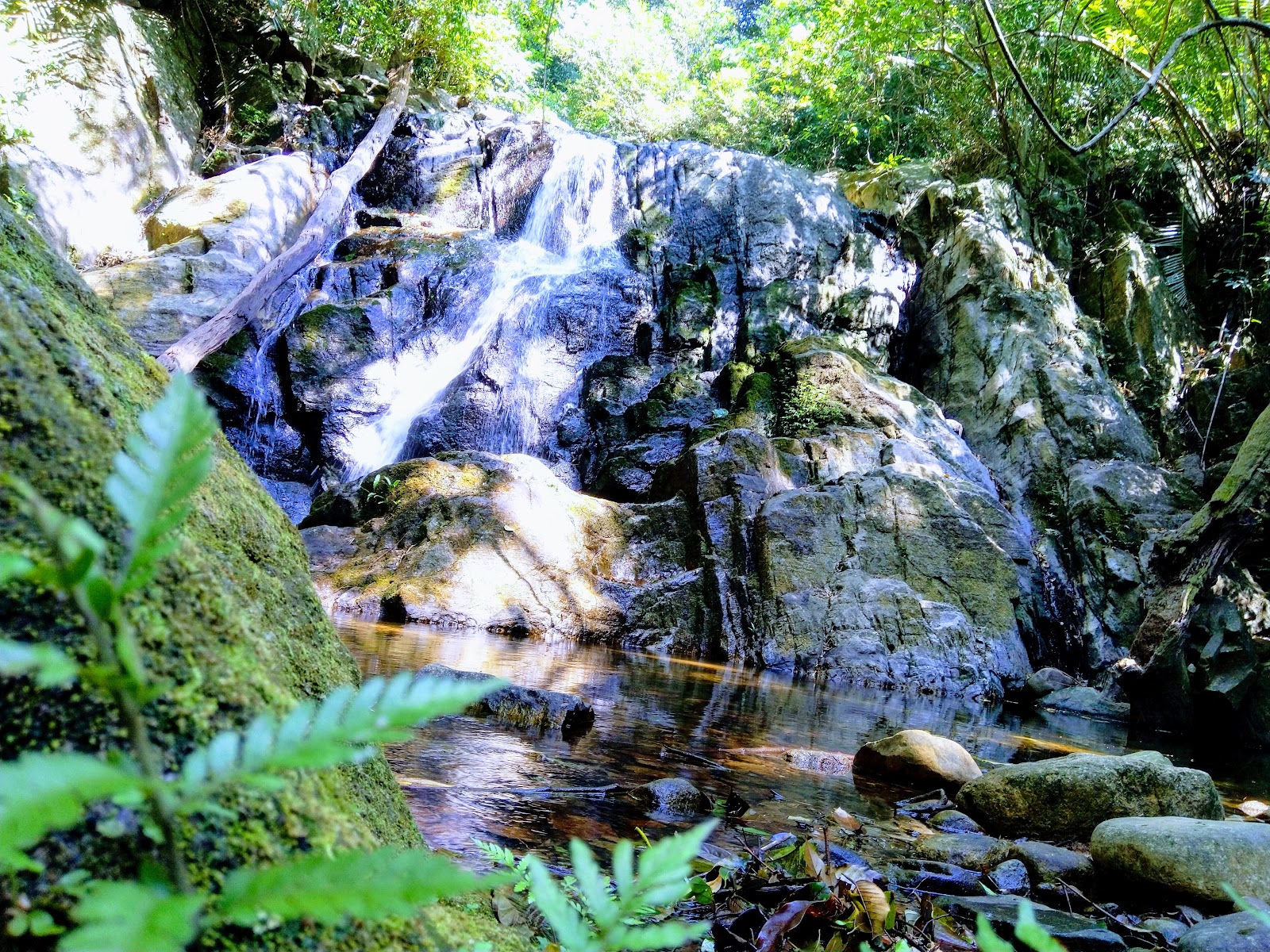 Peppara Wildlife Sanctuary