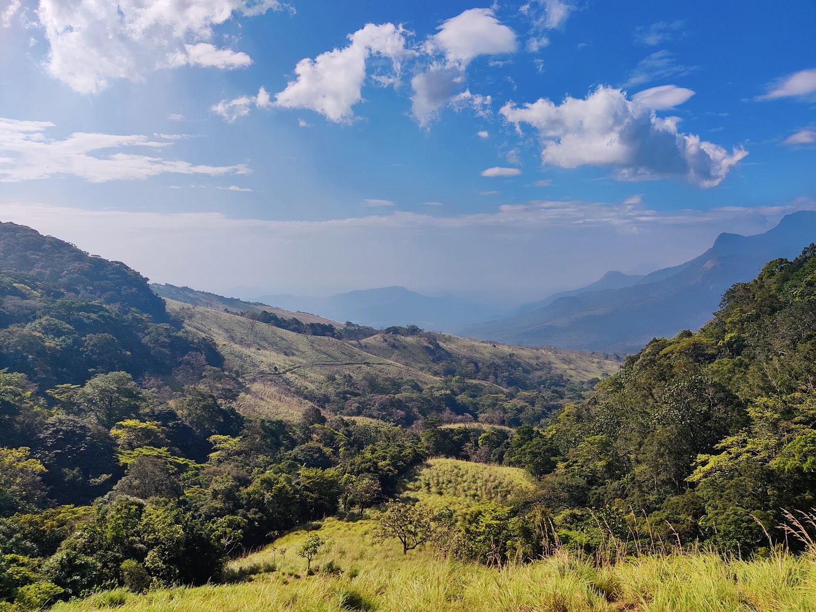 Peppara Wildlife Sanctuary