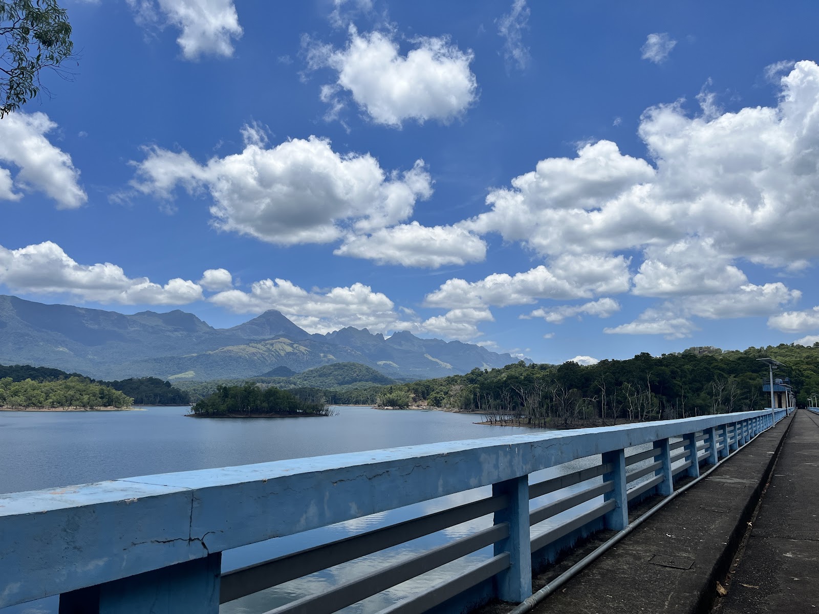 Peppara Wildlife Sanctuary