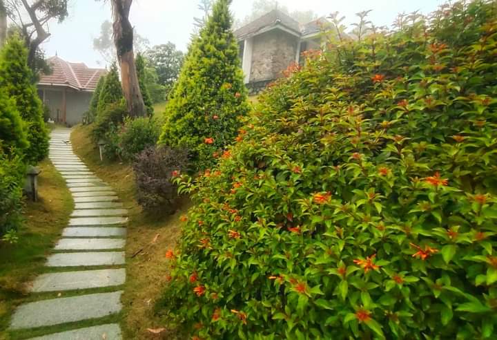 Ponmudi Hill Station