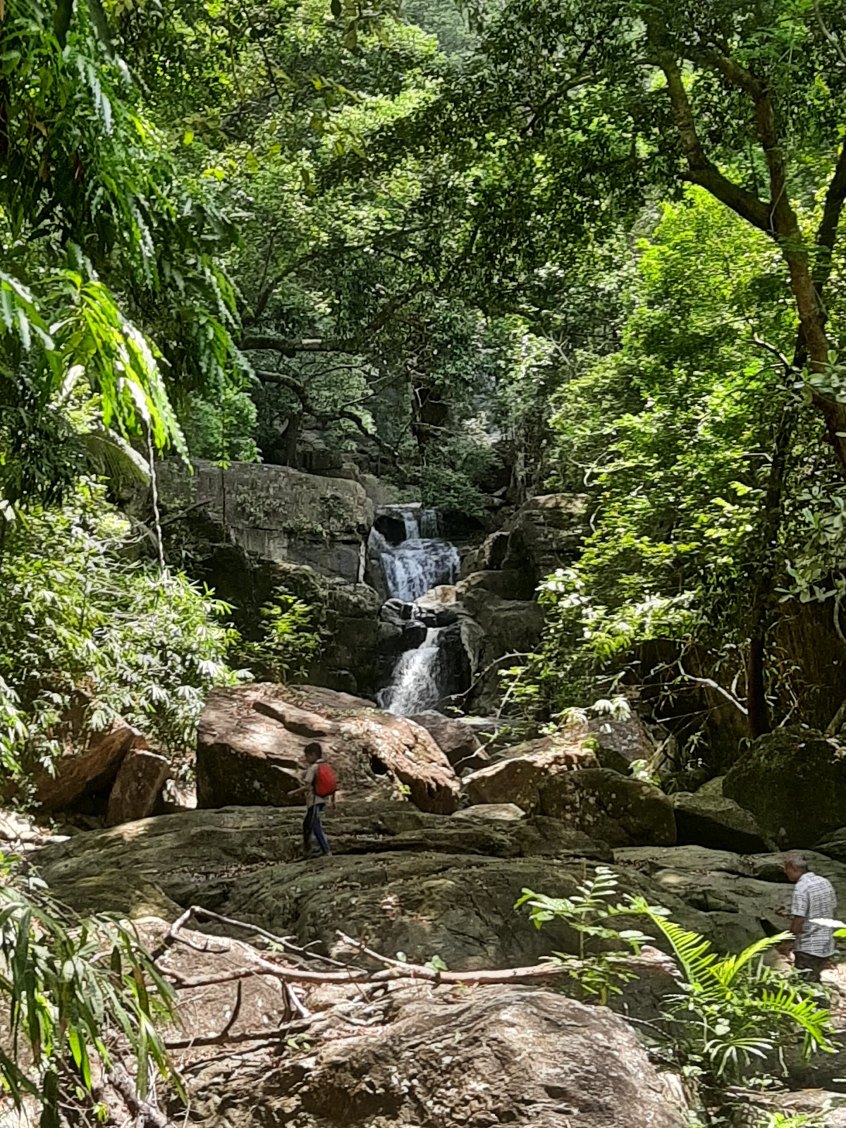 Vazhvanthol Viewpoint