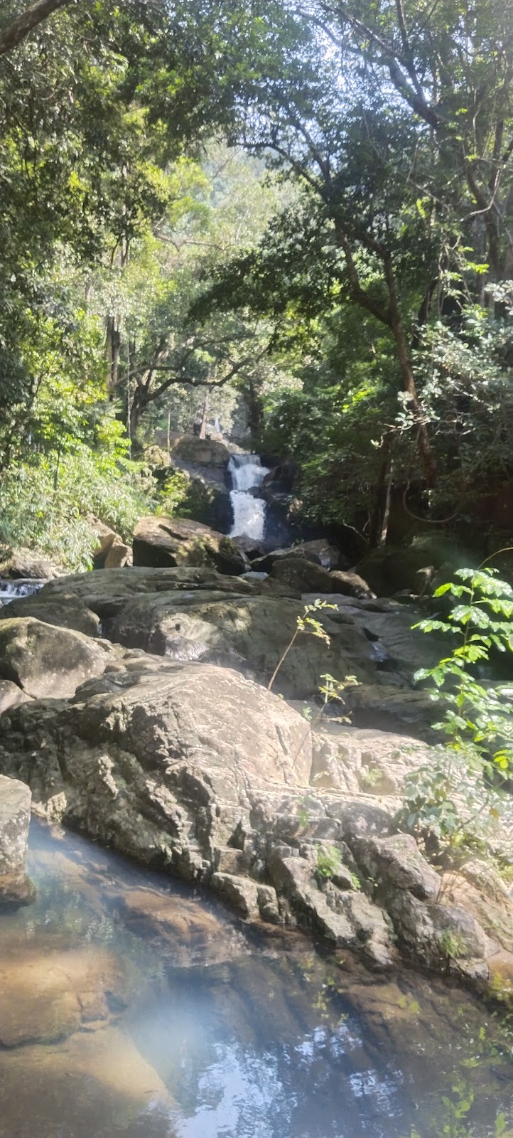 Vazhvanthol Viewpoint