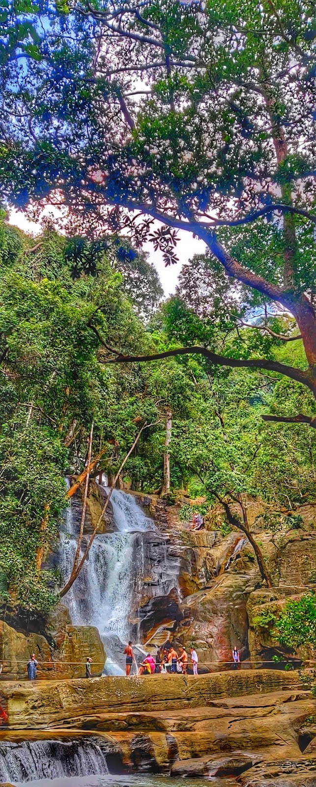 Vazhvanthol Viewpoint