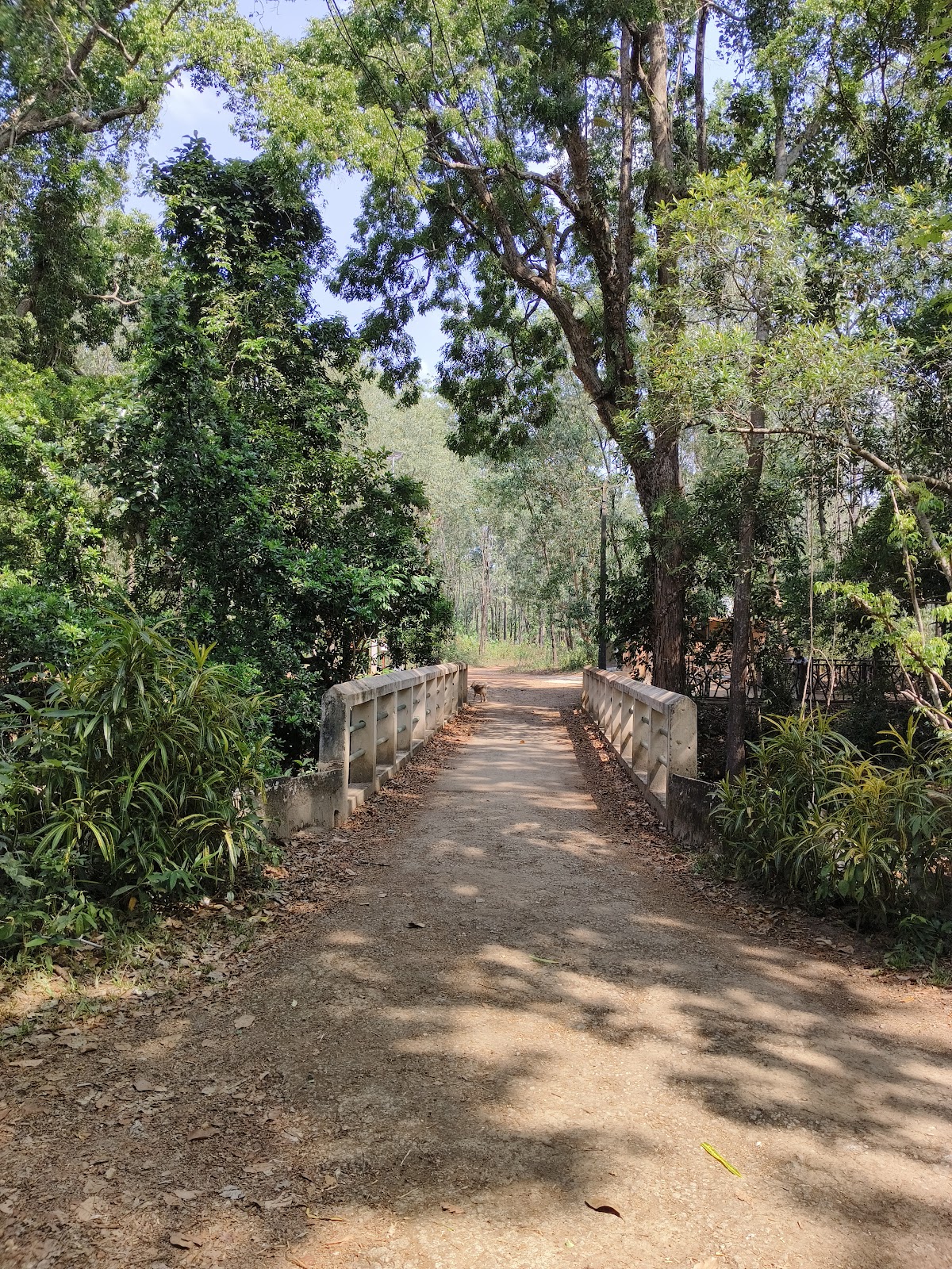 Vazhvanthol Viewpoint