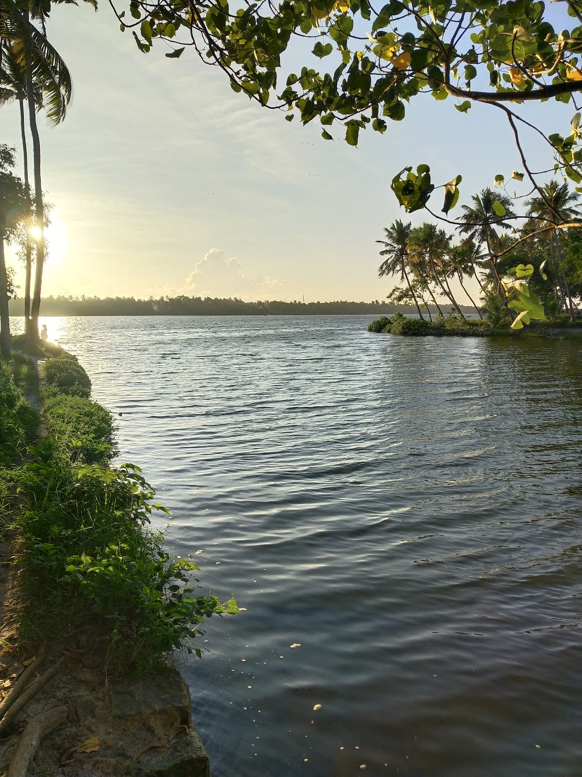 Kadinamkulam Kayal