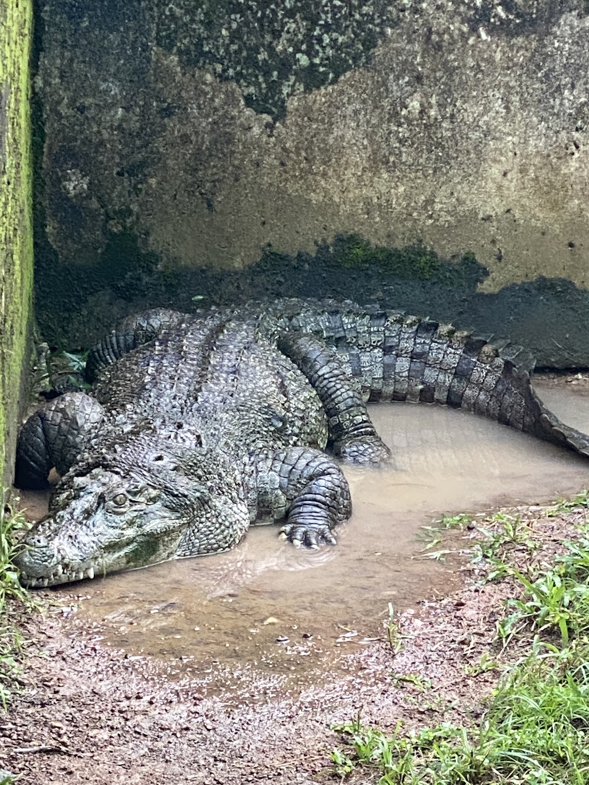 Neyyar Elephant Rehabilitation Centre