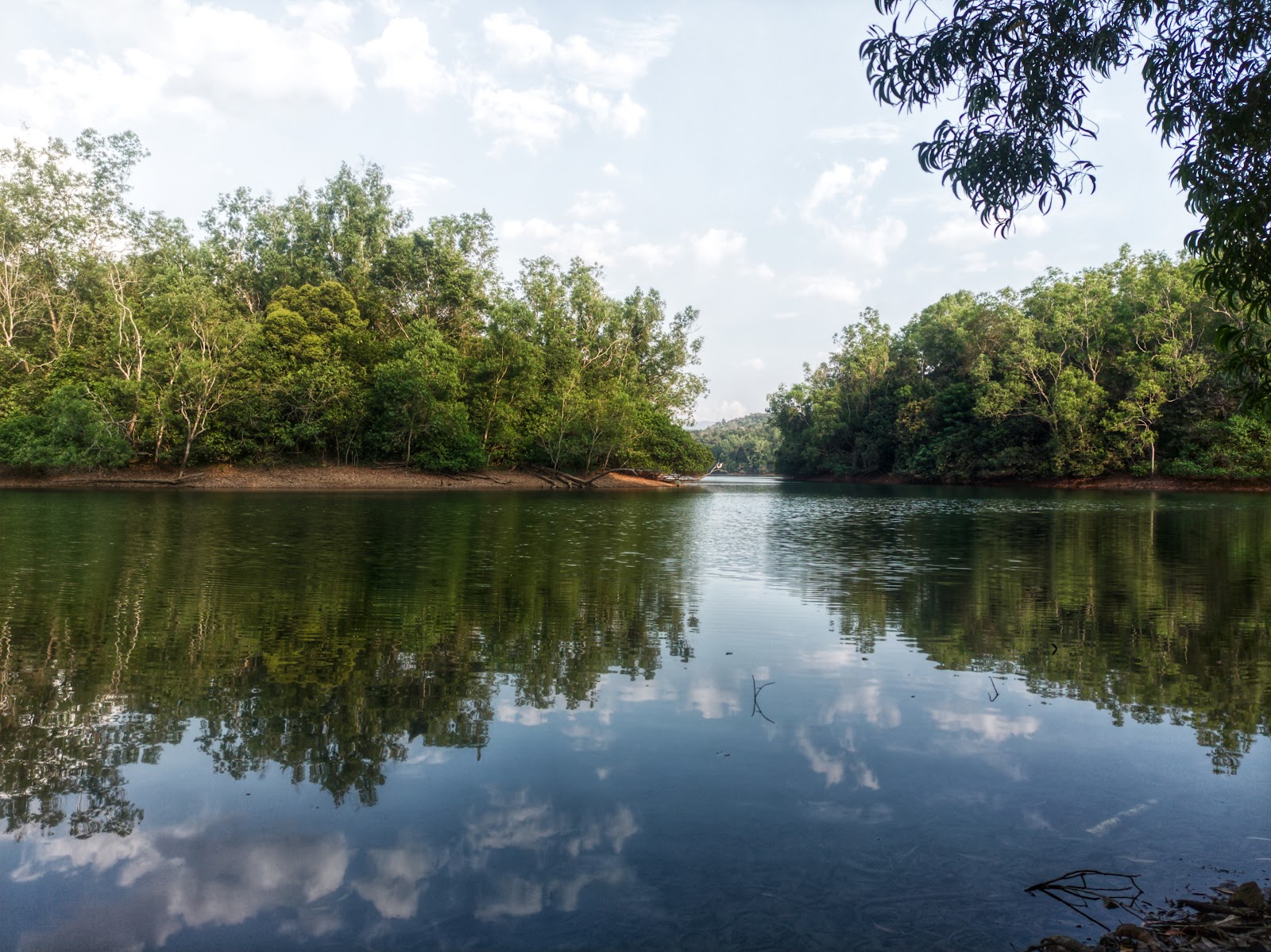 Neyyar Elephant Rehabilitation Centre