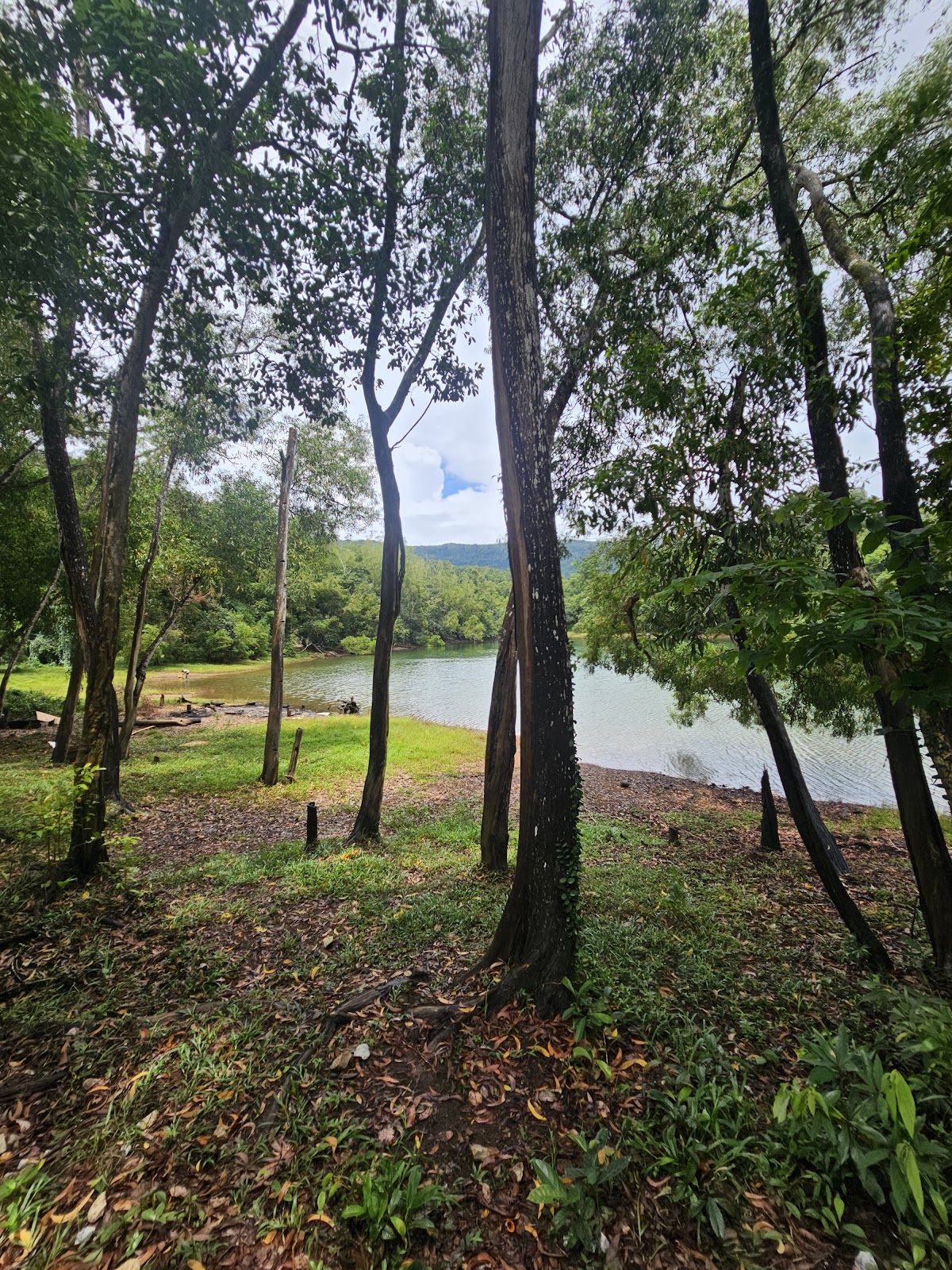 Neyyar Elephant Rehabilitation Centre