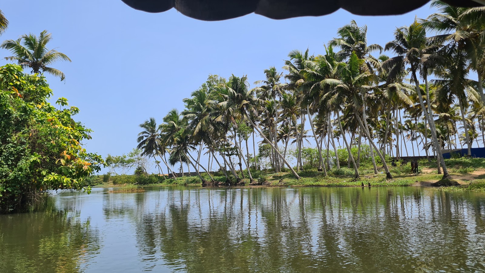 Poovar Backwaters
